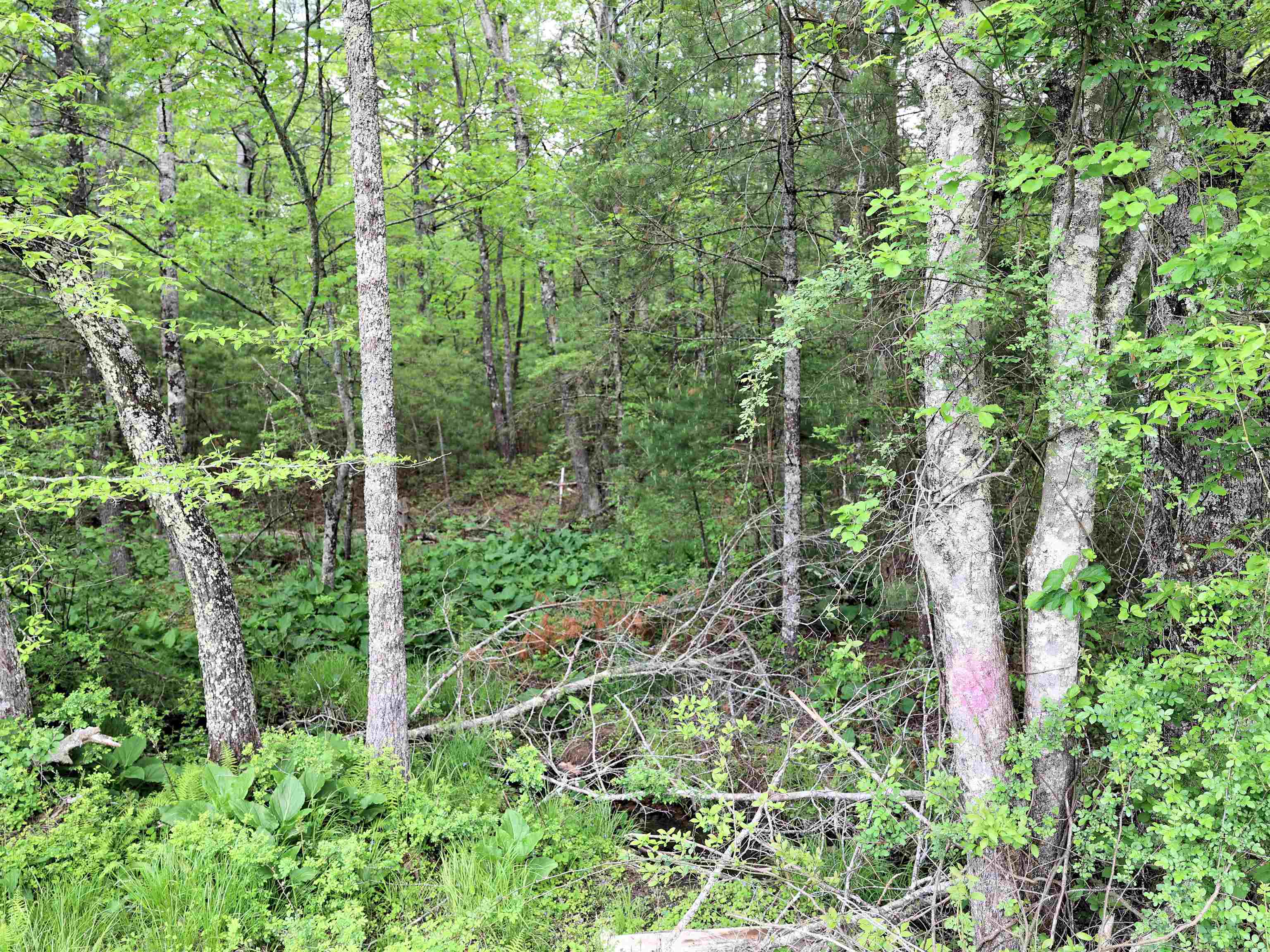 Tbd Franklin Pike SE Floyd VA 24091