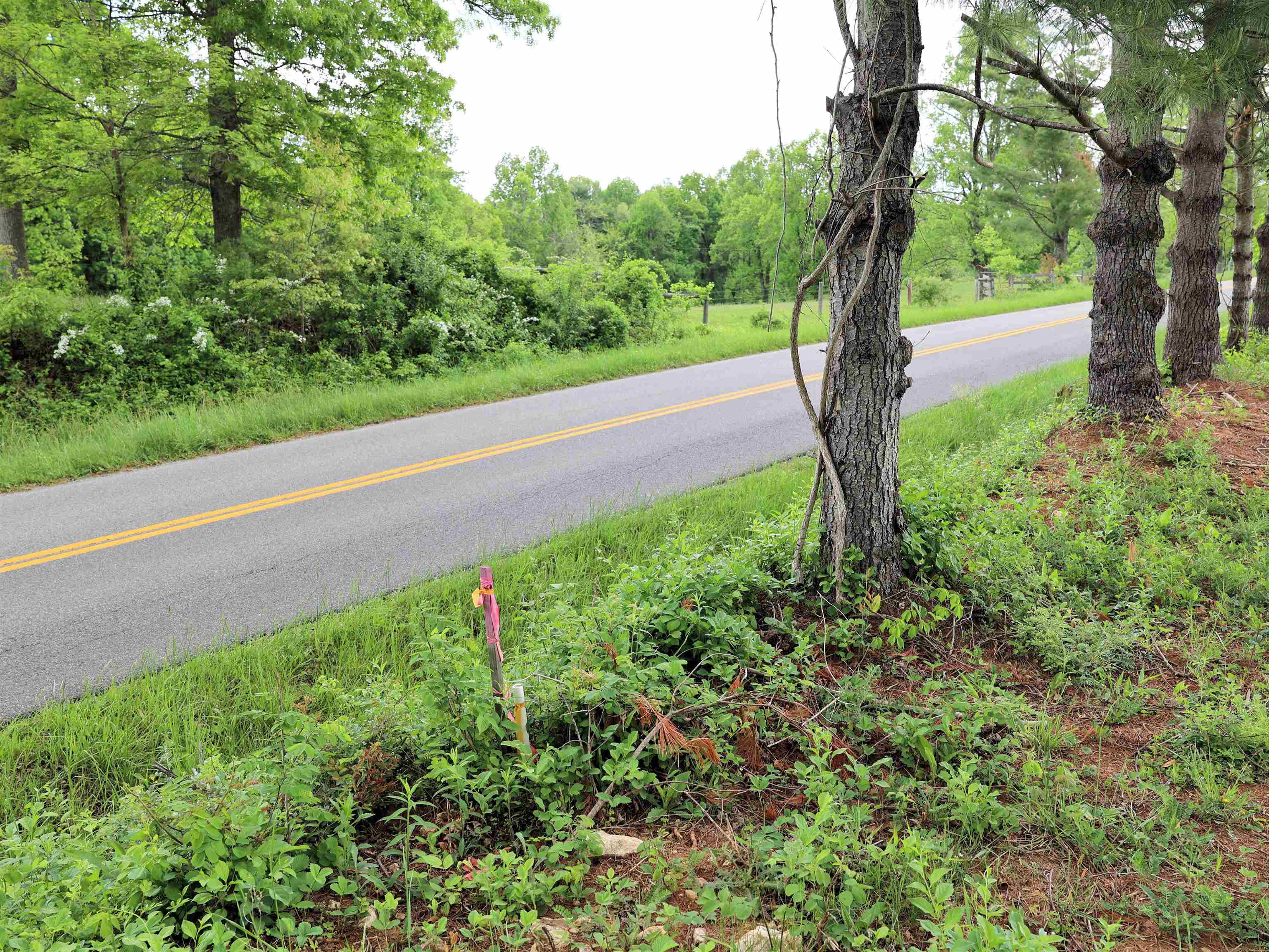 Tbd Franklin Pike SE Floyd VA 24091