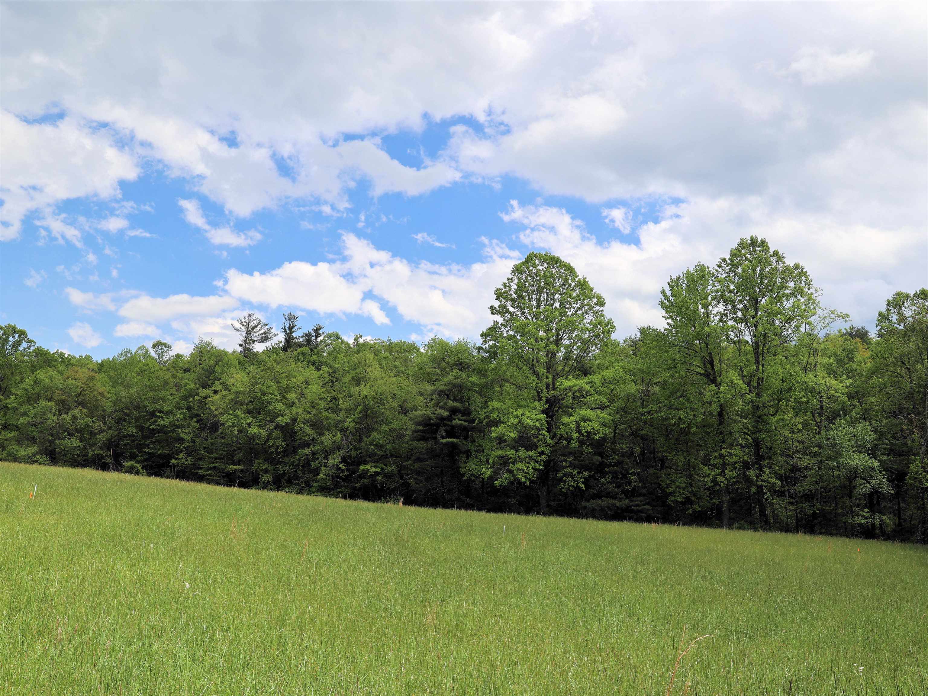 Tbd Franklin Pike SE Floyd VA 24091