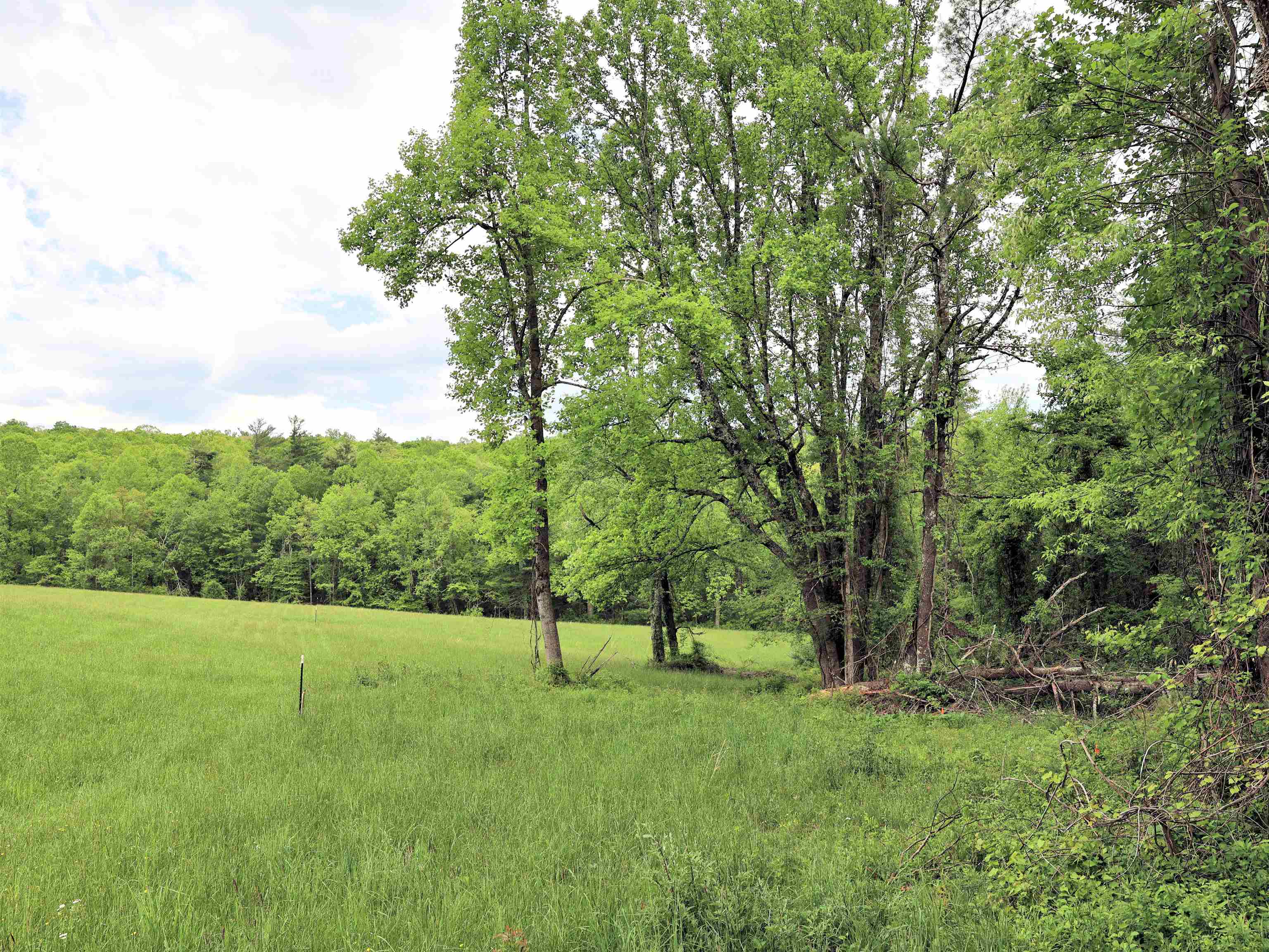 Tbd Franklin Pike SE Floyd VA 24091