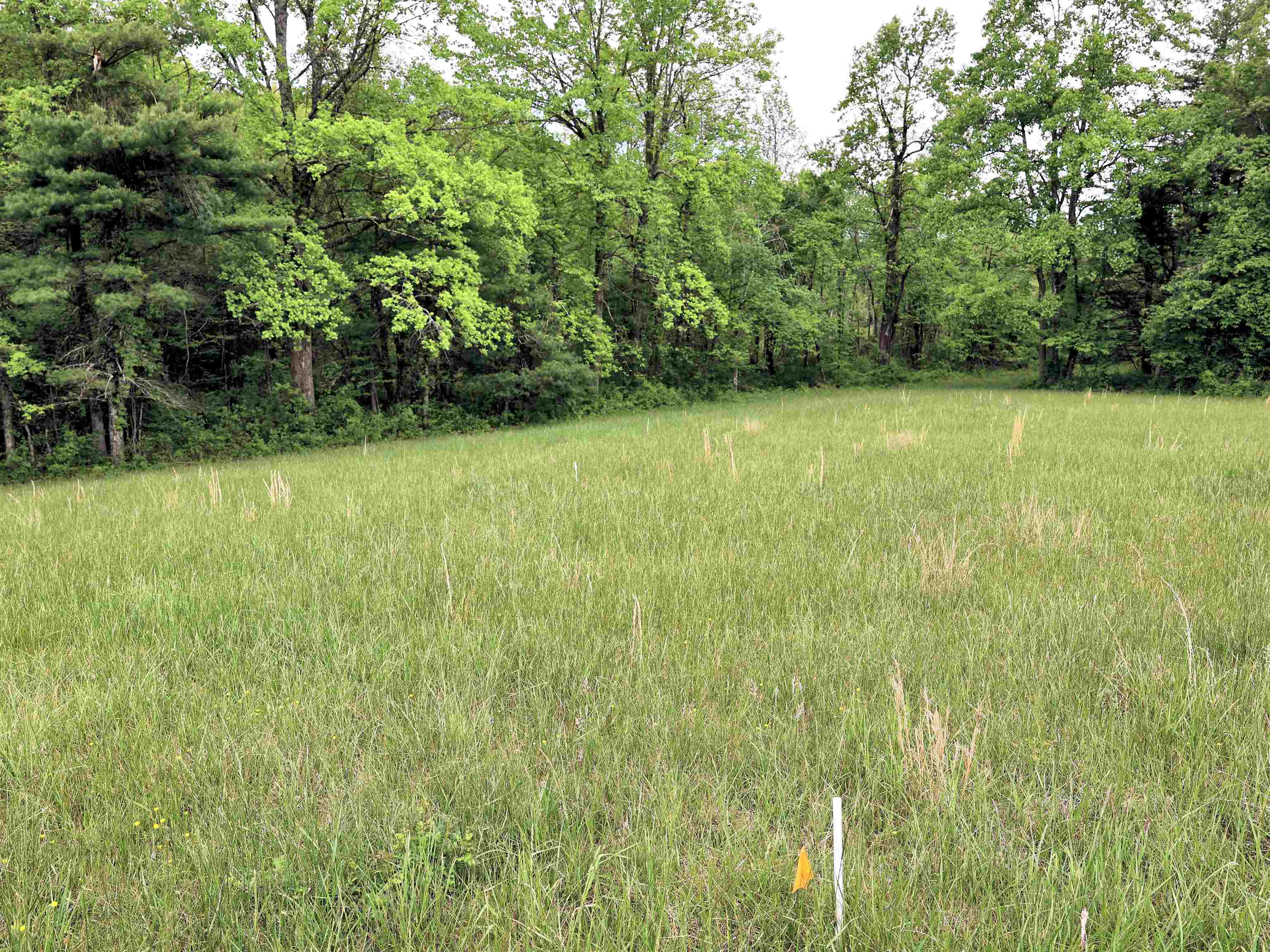 Tbd Franklin Pike SE Floyd VA 24091