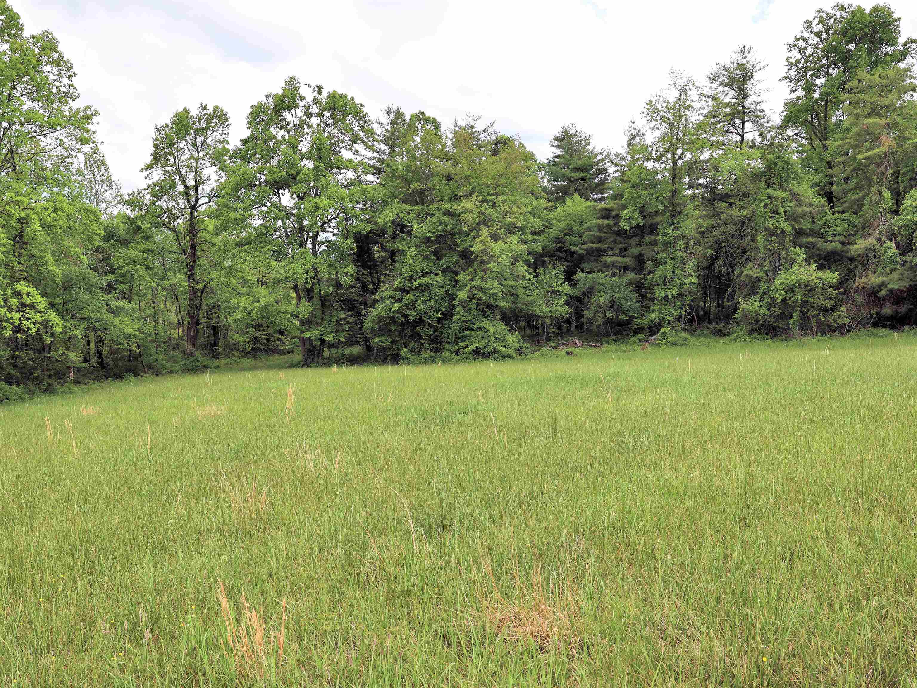 Tbd Franklin Pike SE Floyd VA 24091