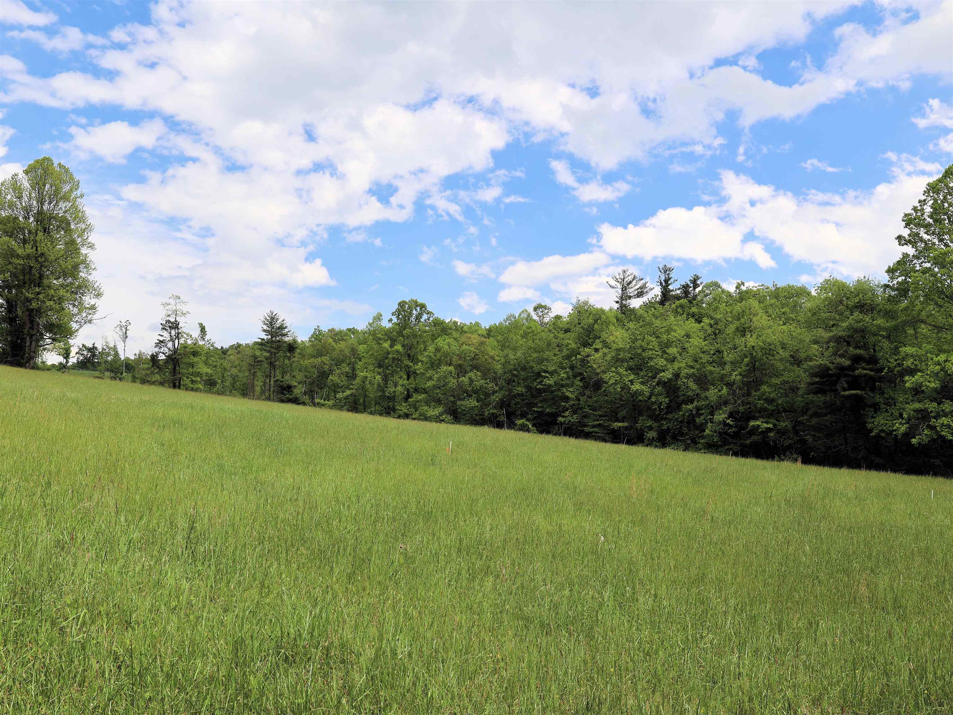 Tbd Franklin Pike SE Floyd VA 24091