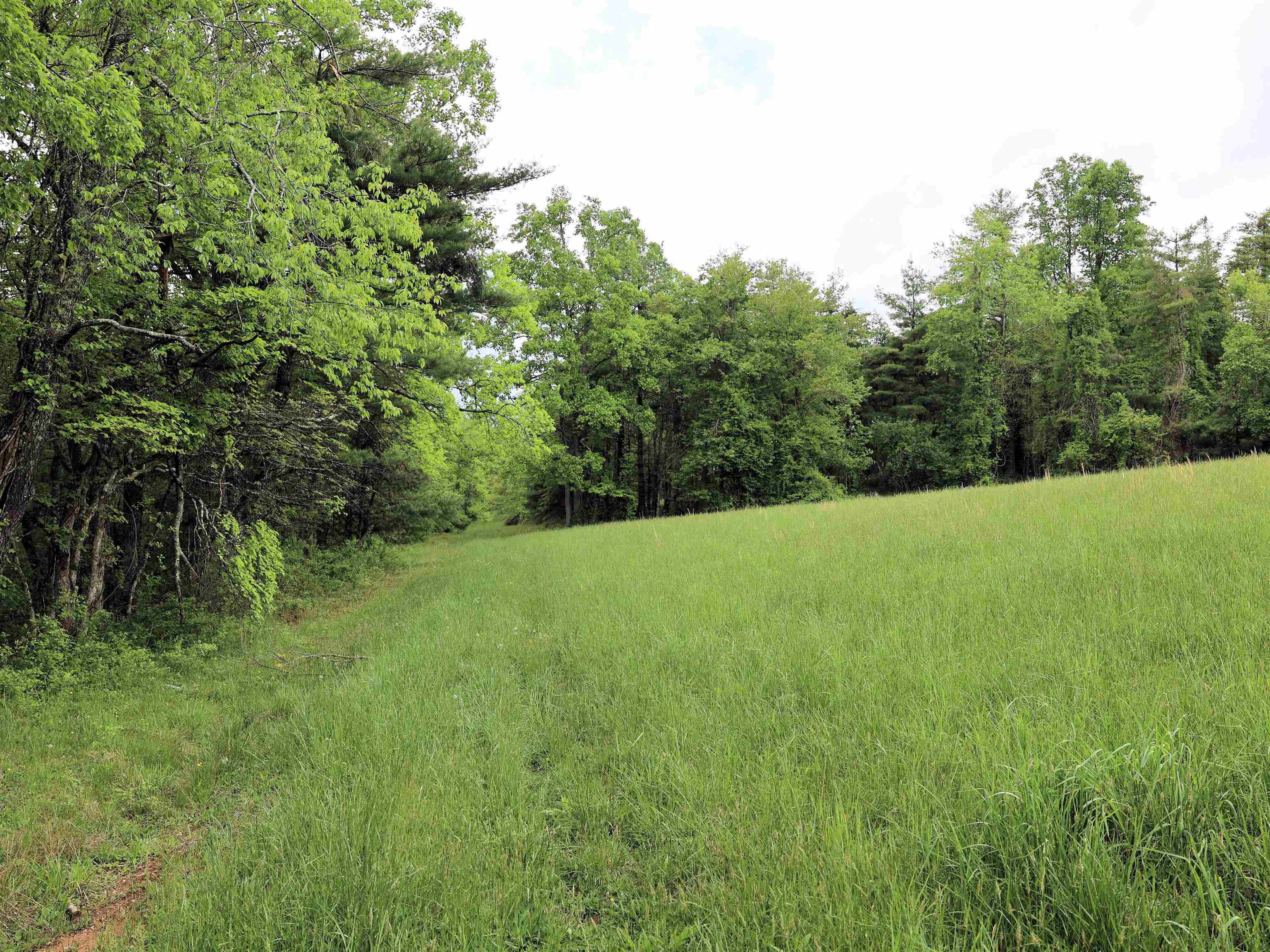 Tbd Franklin Pike SE Floyd VA 24091