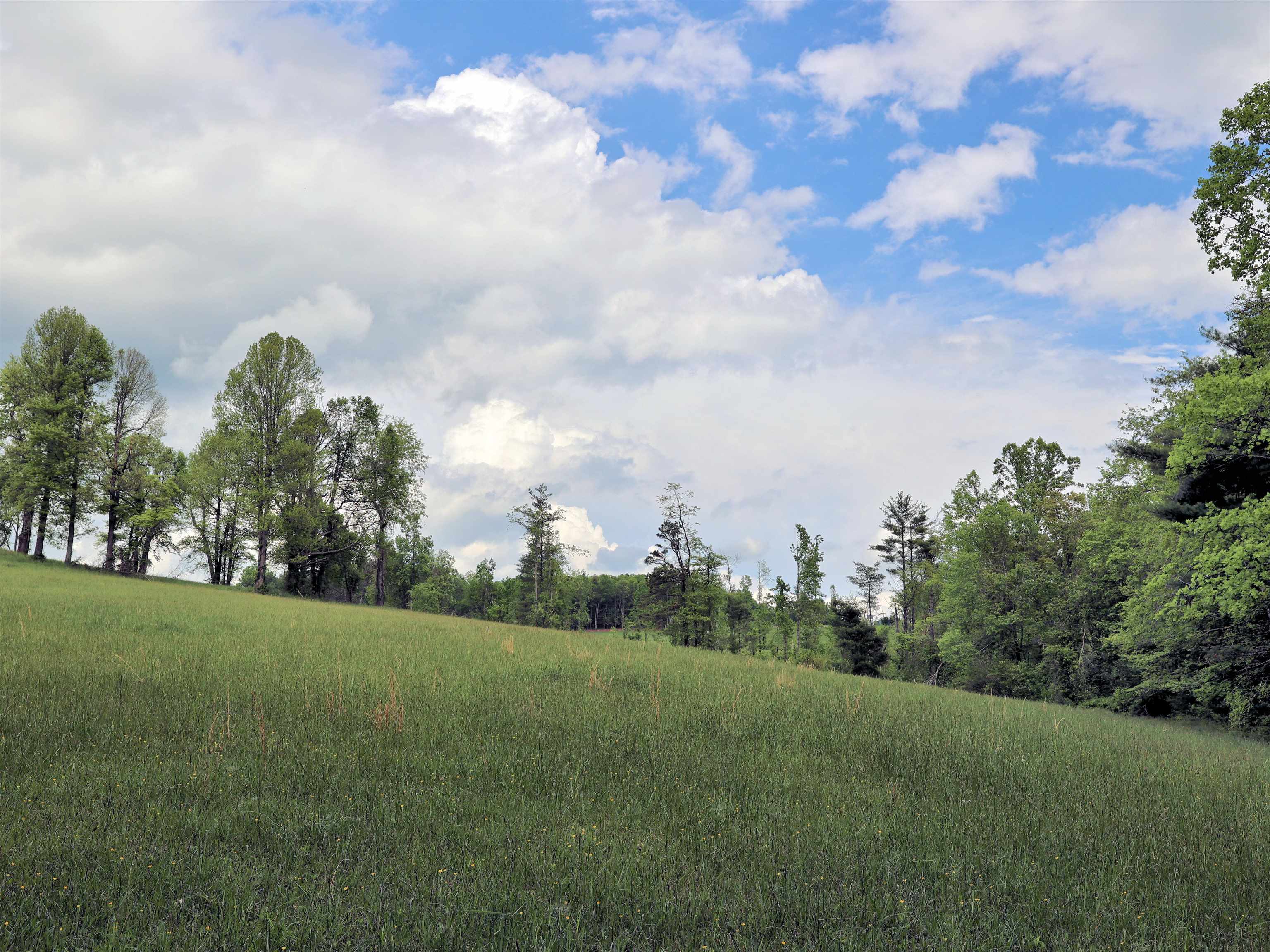 Tbd Franklin Pike SE Floyd VA 24091