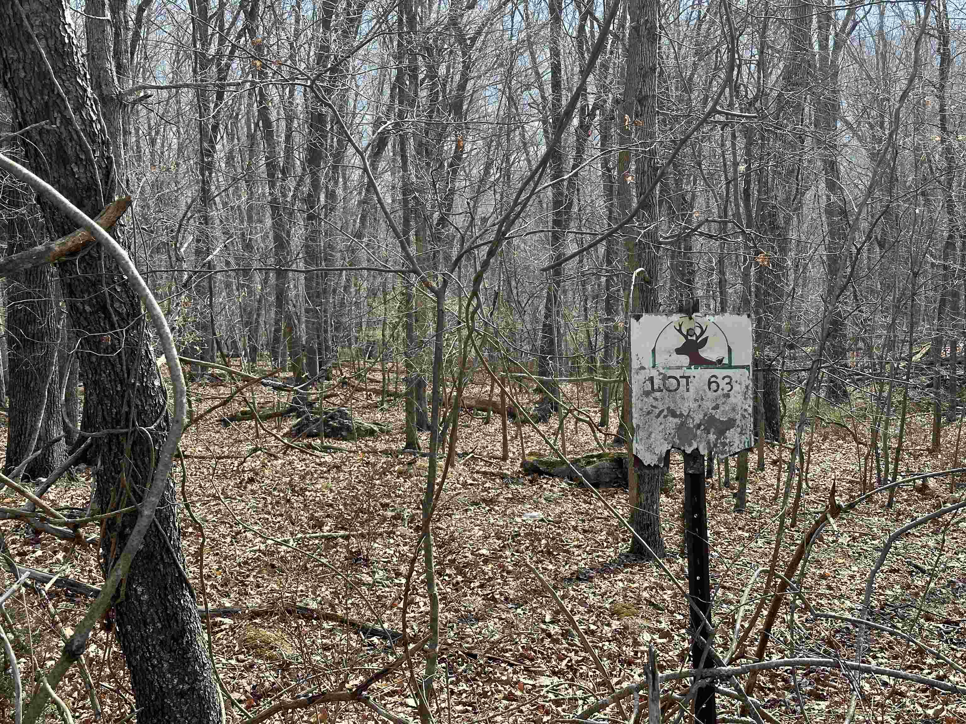 1240 Falcon Ridge Road Blacksburg VA 24060