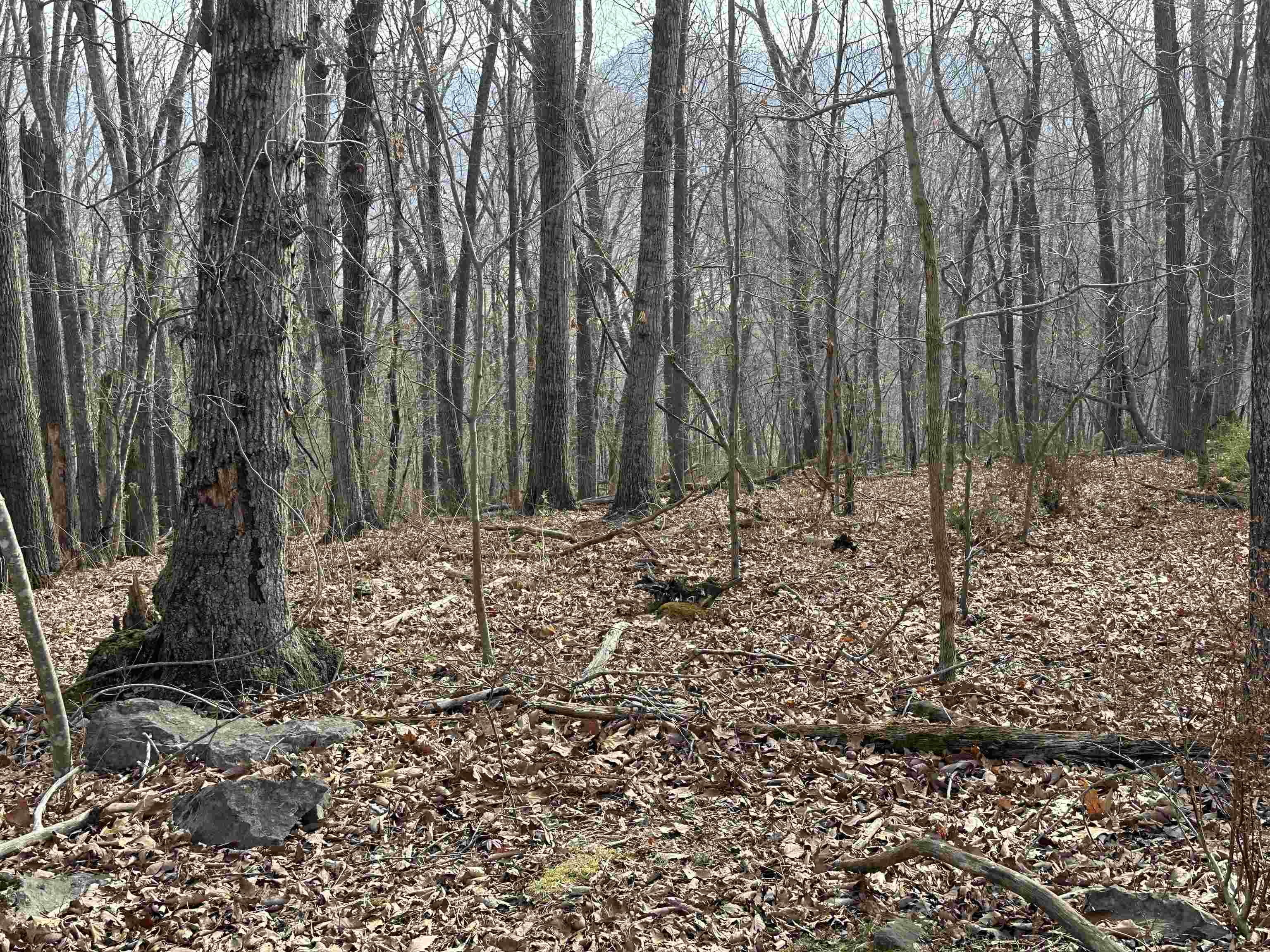 1240 Falcon Ridge Road Blacksburg VA 24060