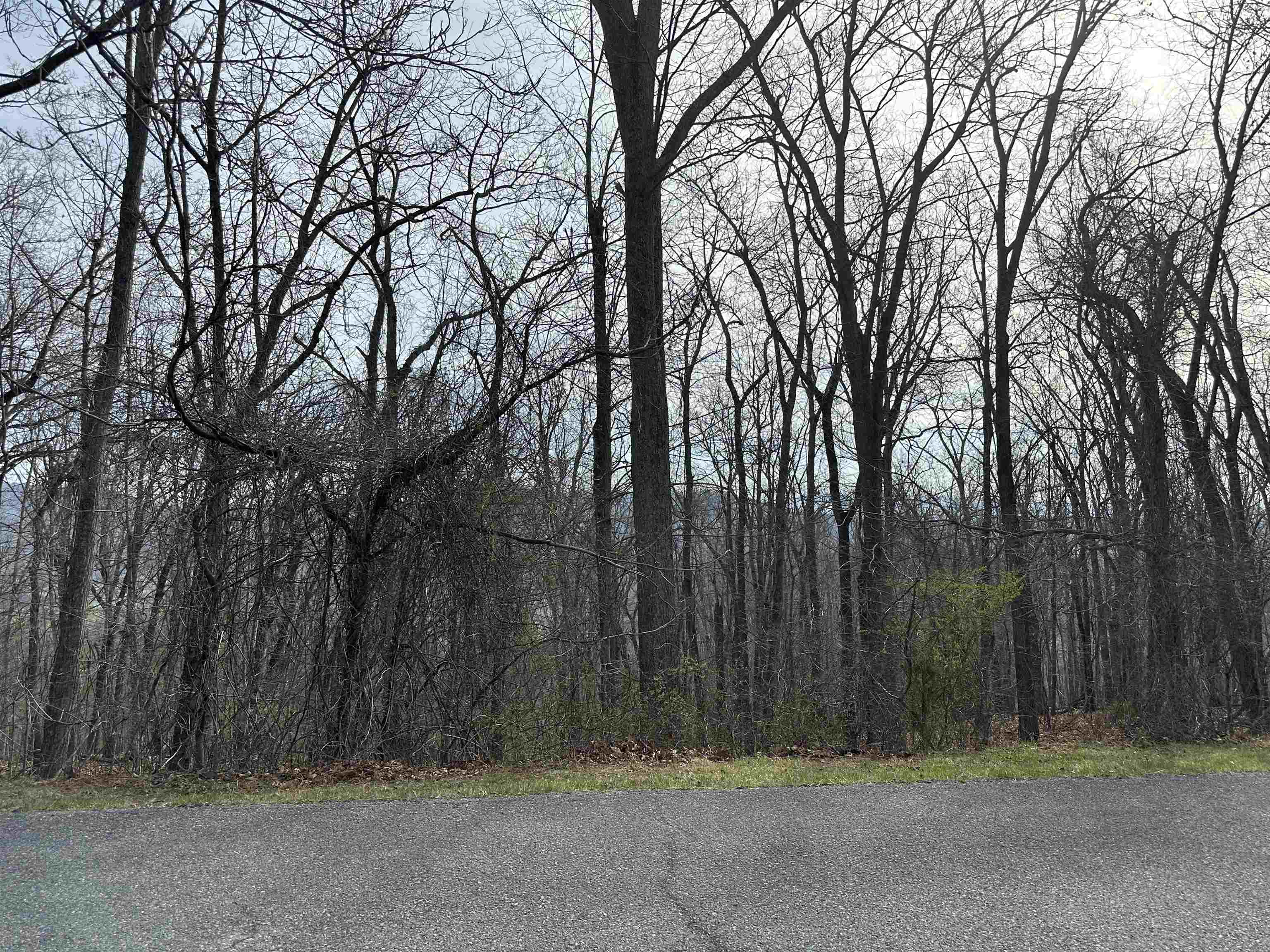 1240 Falcon Ridge Road Blacksburg VA 24060