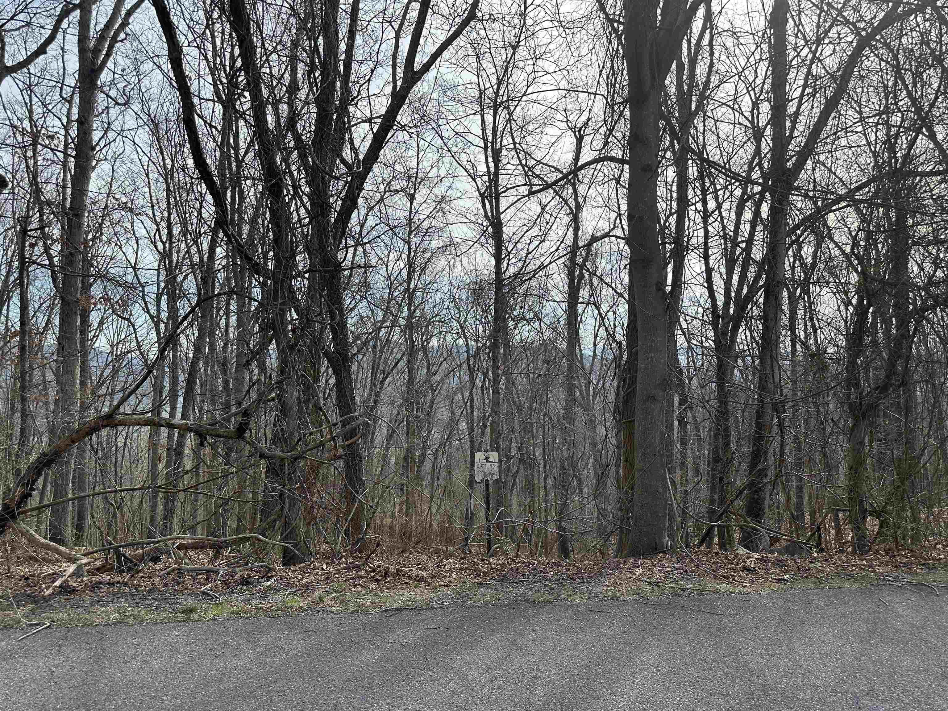 1240 Falcon Ridge Road Blacksburg VA 24060