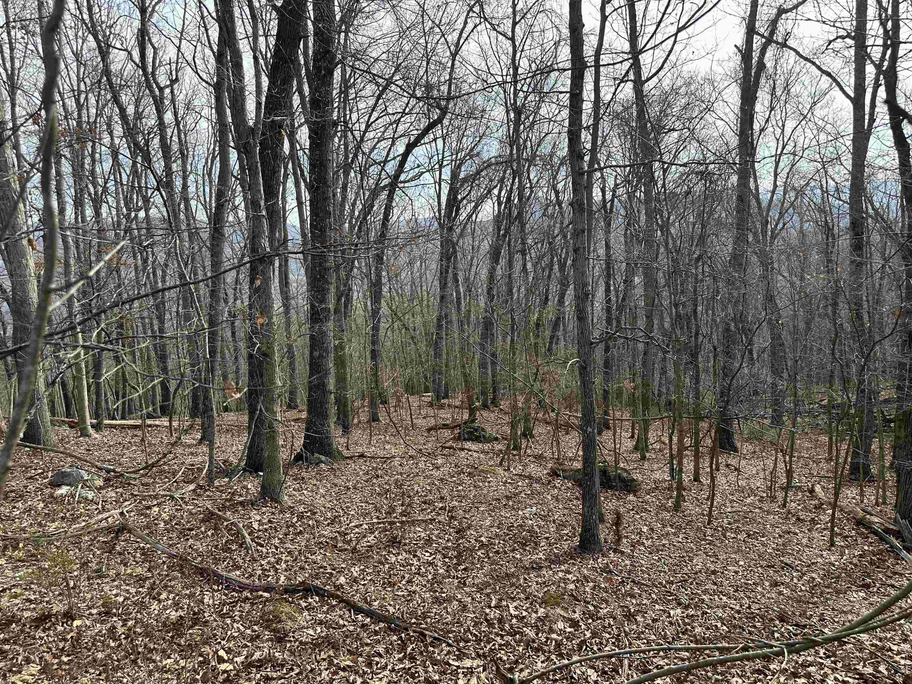 1240 Falcon Ridge Road Blacksburg VA 24060