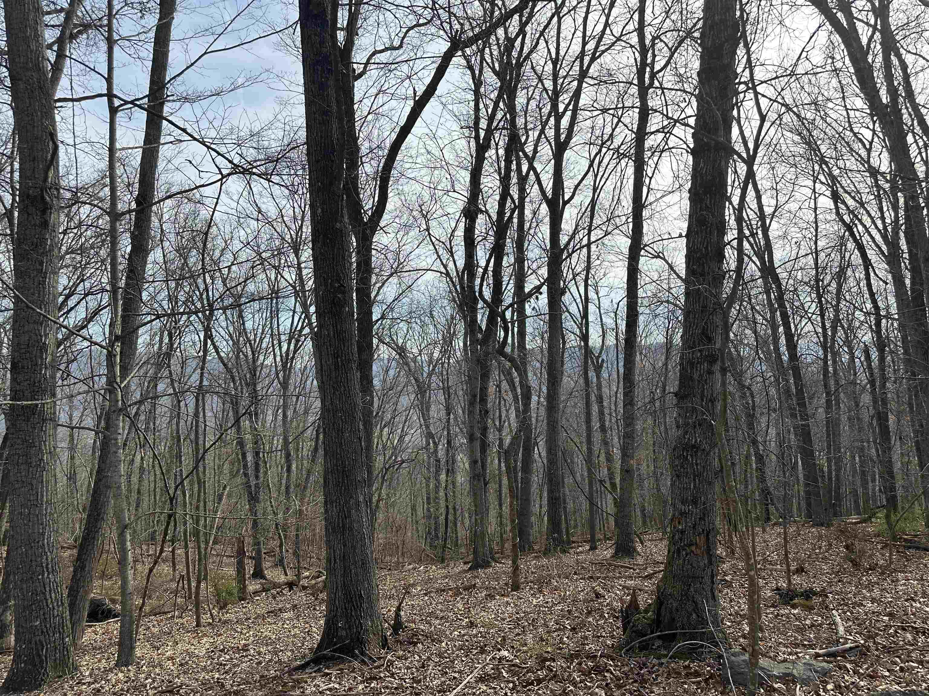 1240 Falcon Ridge Road Blacksburg VA 24060