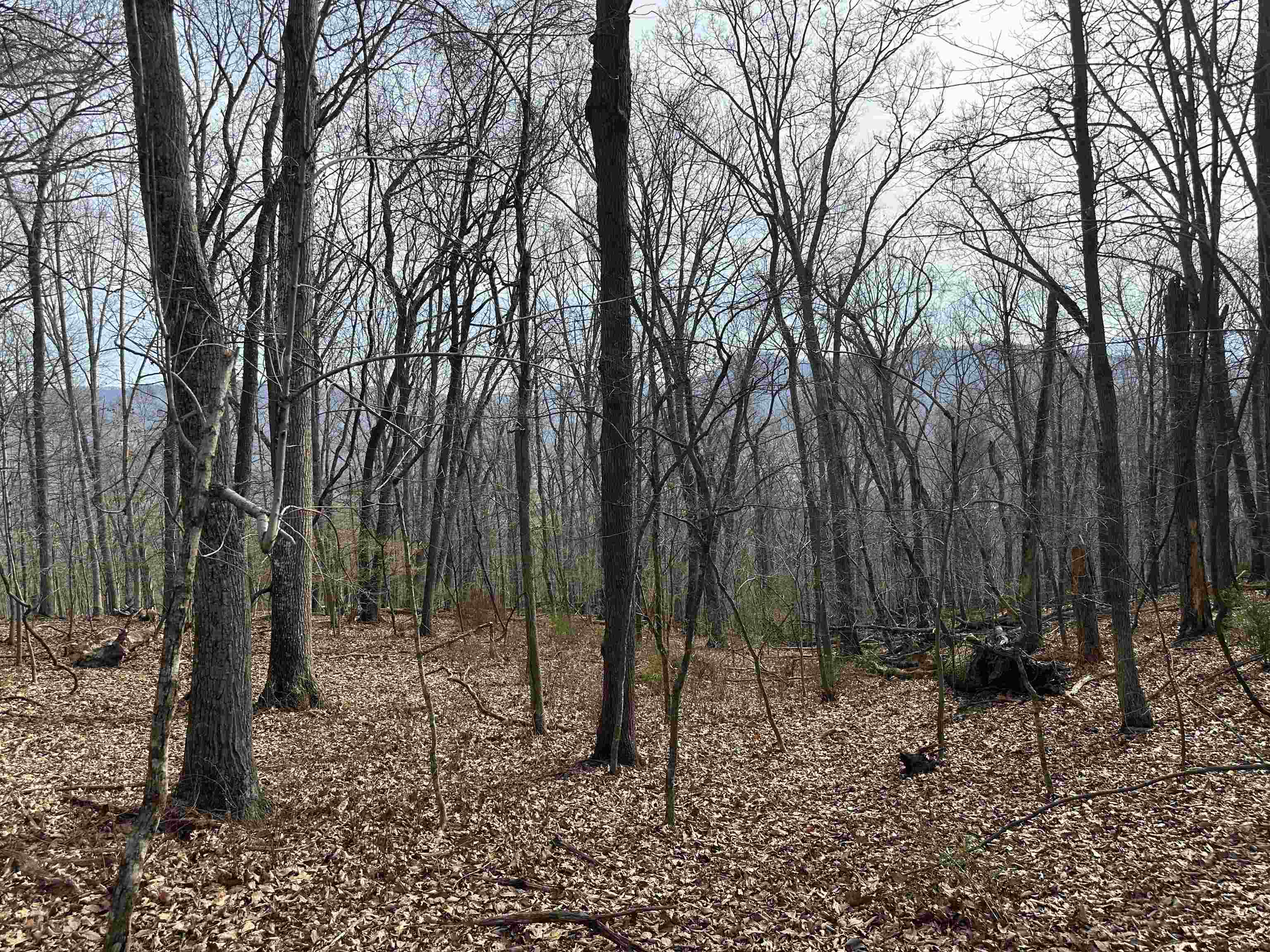 1240 Falcon Ridge Road Blacksburg VA 24060