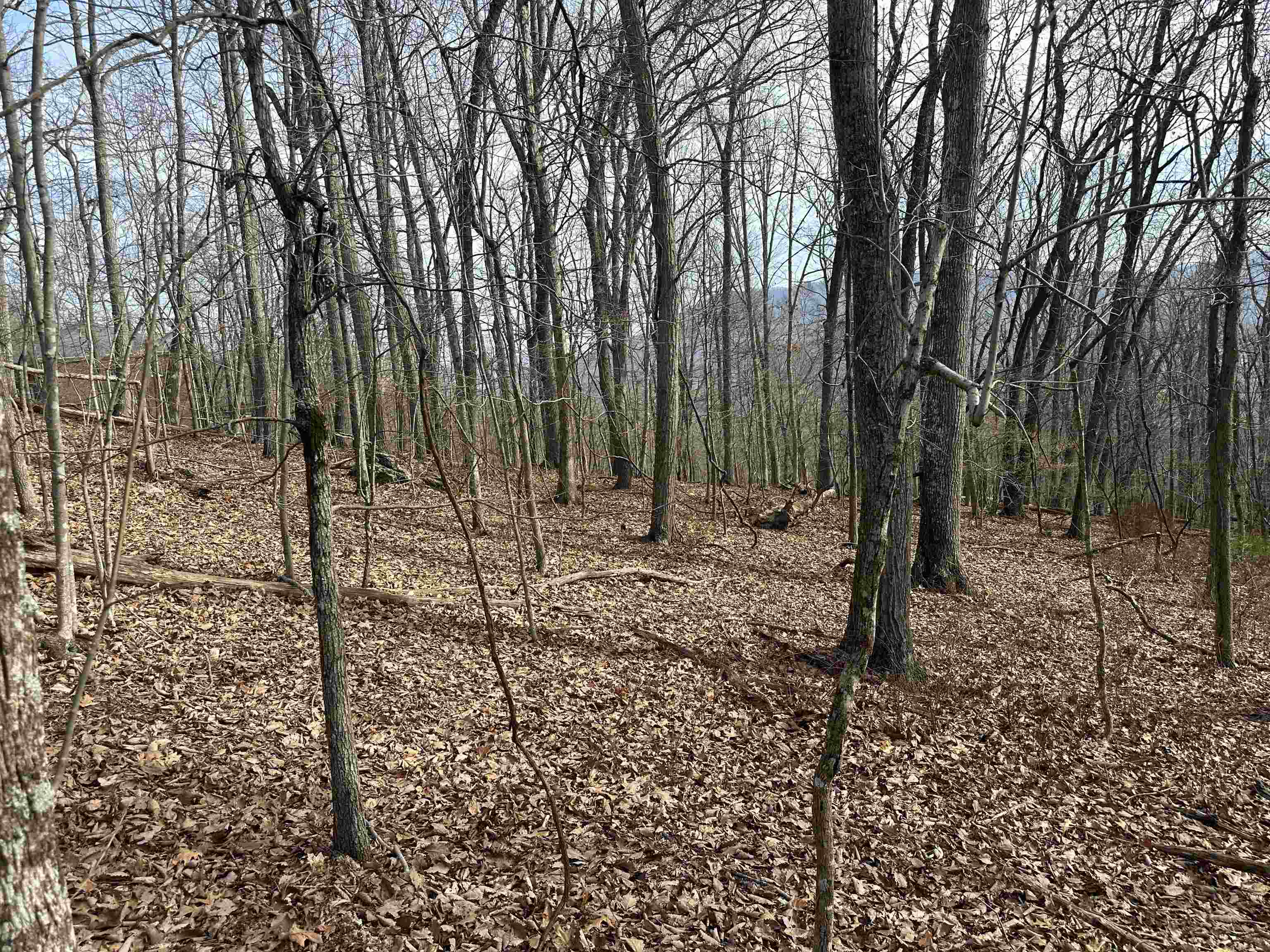 1240 Falcon Ridge Road Blacksburg VA 24060