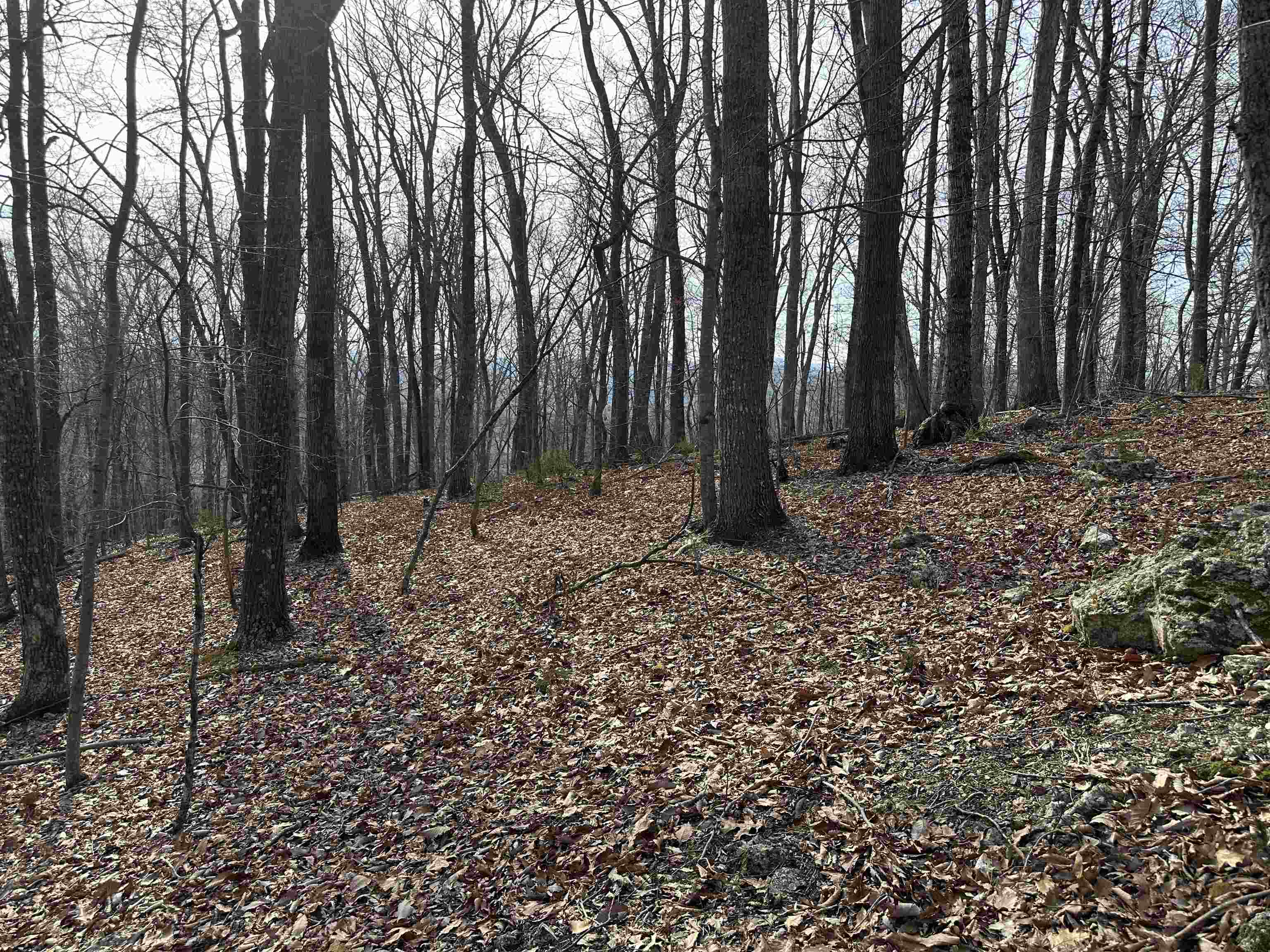 1240 Falcon Ridge Road Blacksburg VA 24060