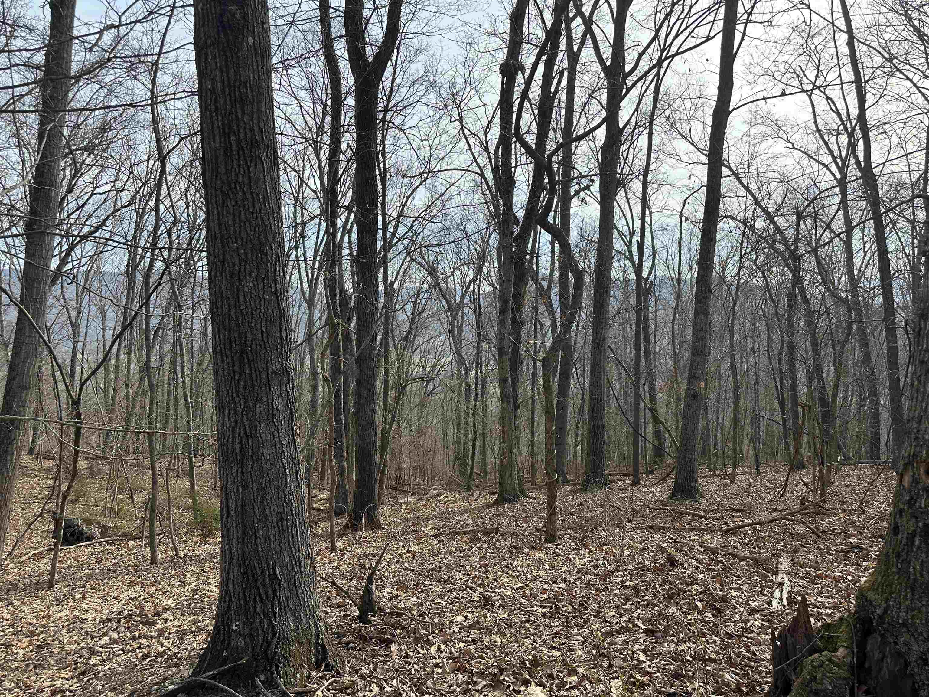 1240 Falcon Ridge Road Blacksburg VA 24060