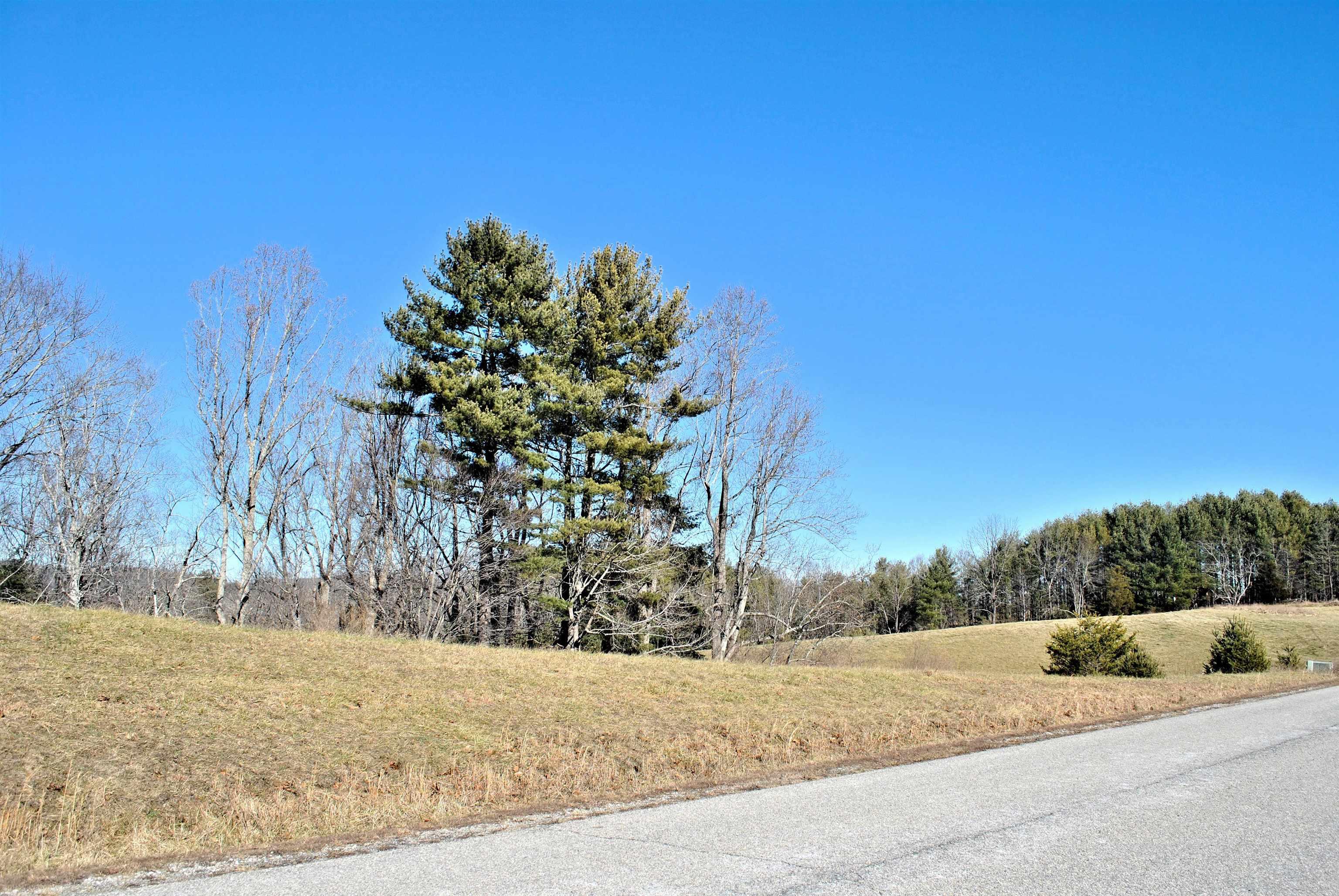 Tbd Tract 11 Turman Drive Riner VA 24149