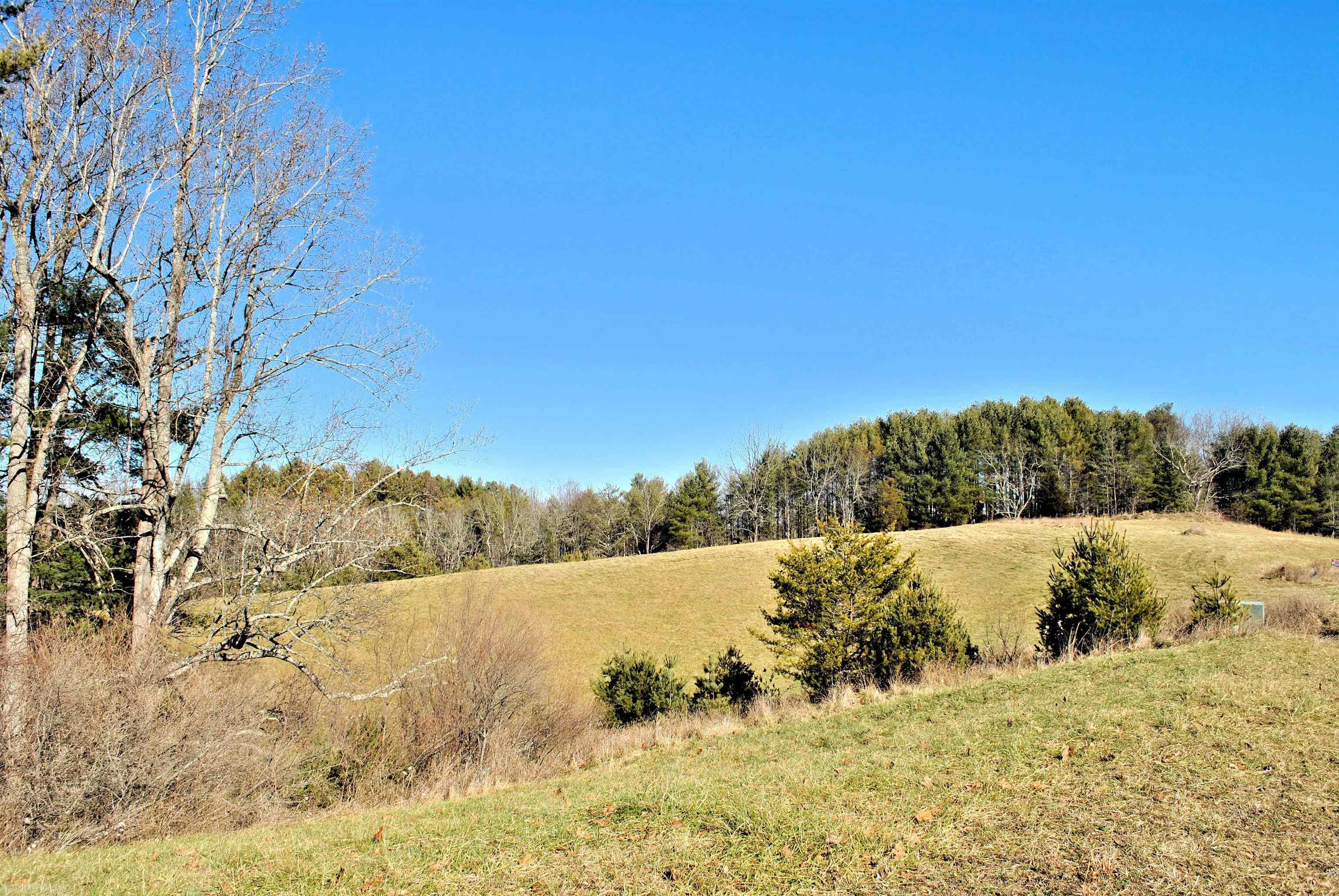 Tbd Tract 11 Turman Drive Riner VA 24149