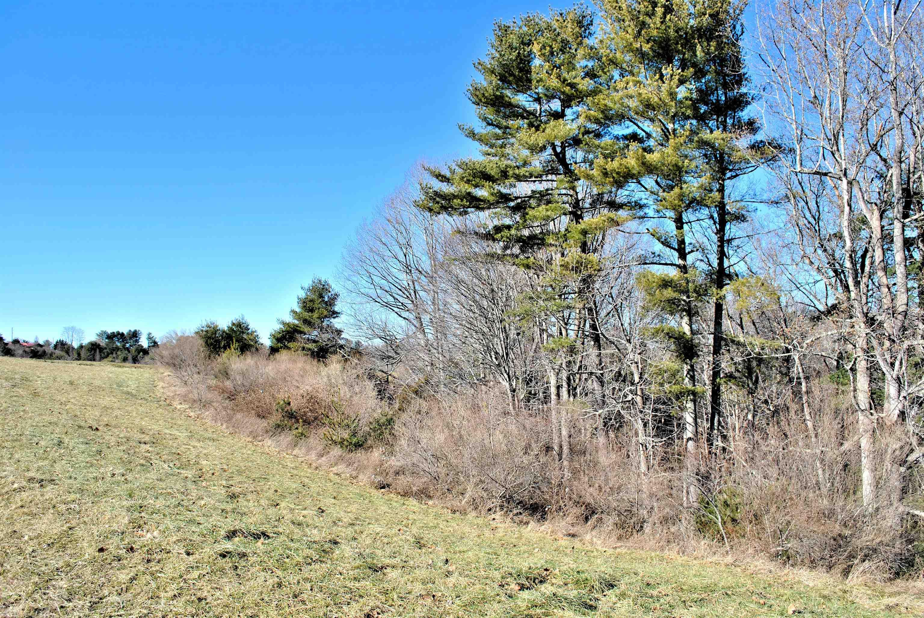 Tbd Tract 11 Turman Drive Riner VA 24149