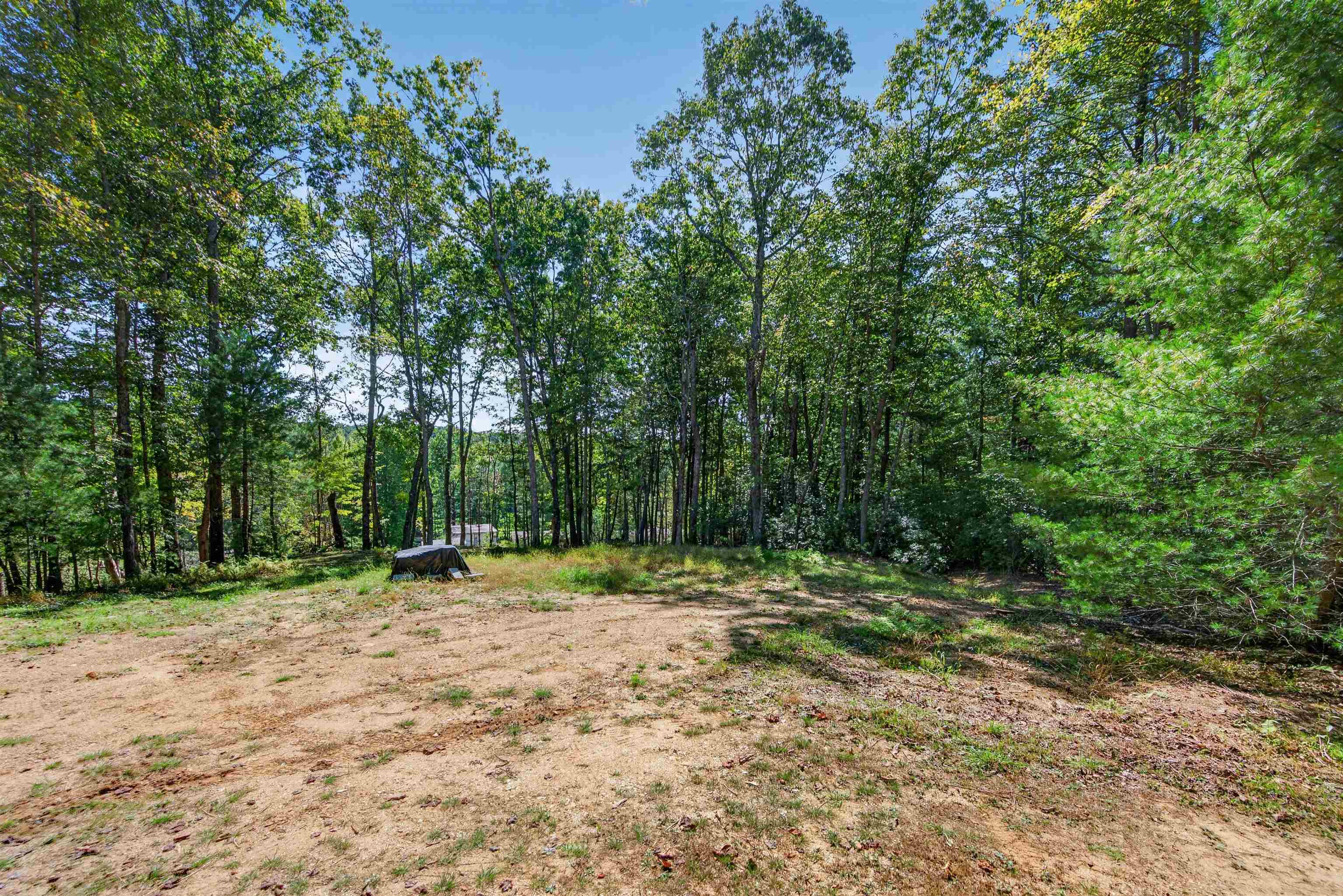 Tbd Forest Green Drive Galax VA 24333