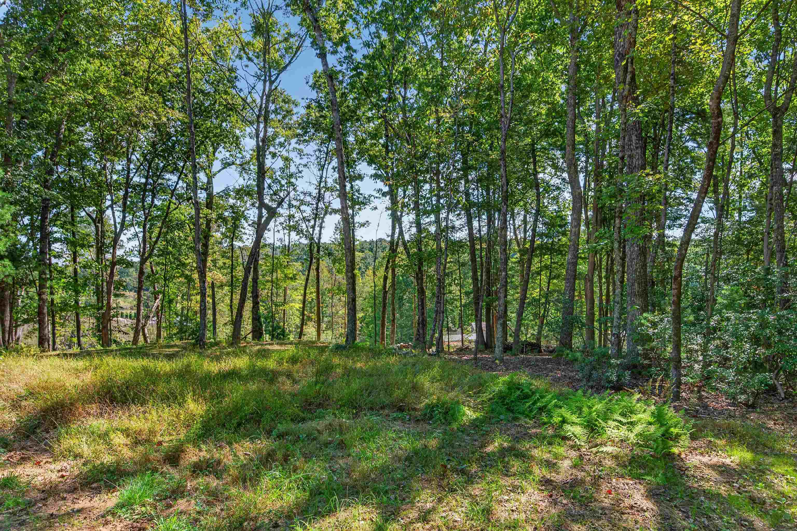 Tbd Forest Green Drive Galax VA 24333