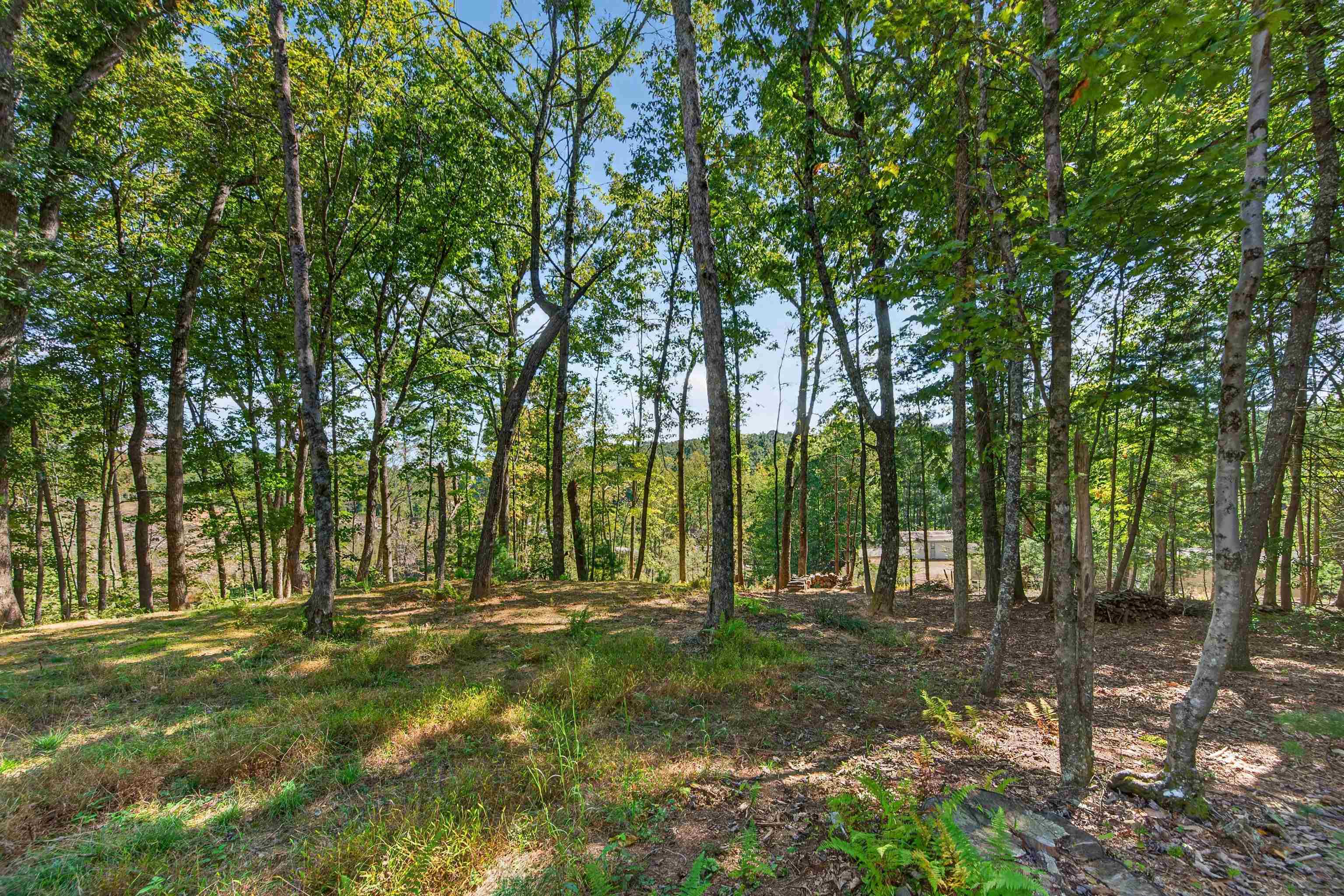 Tbd Forest Green Drive Galax VA 24333