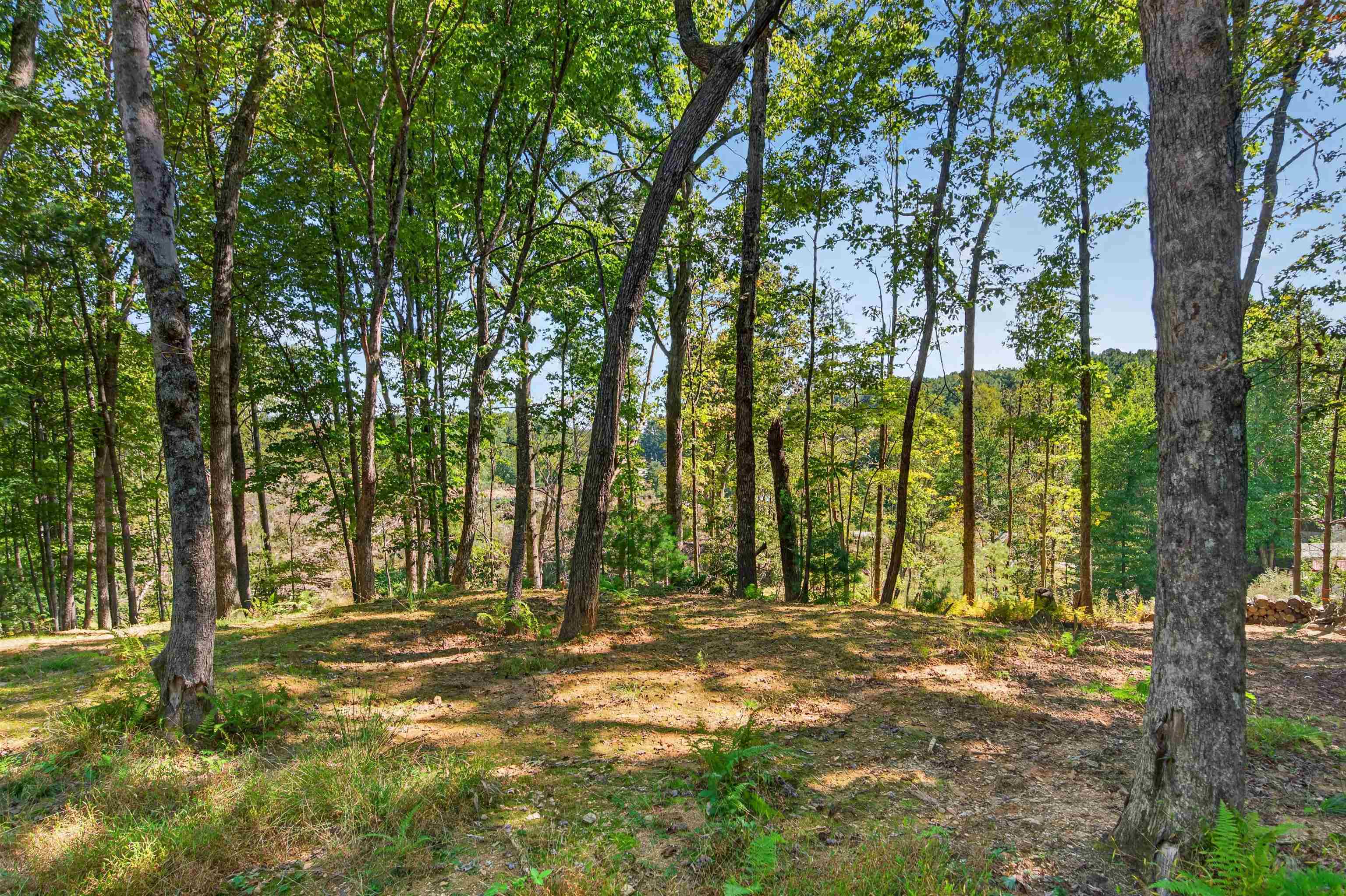 Tbd Forest Green Drive Galax VA 24333