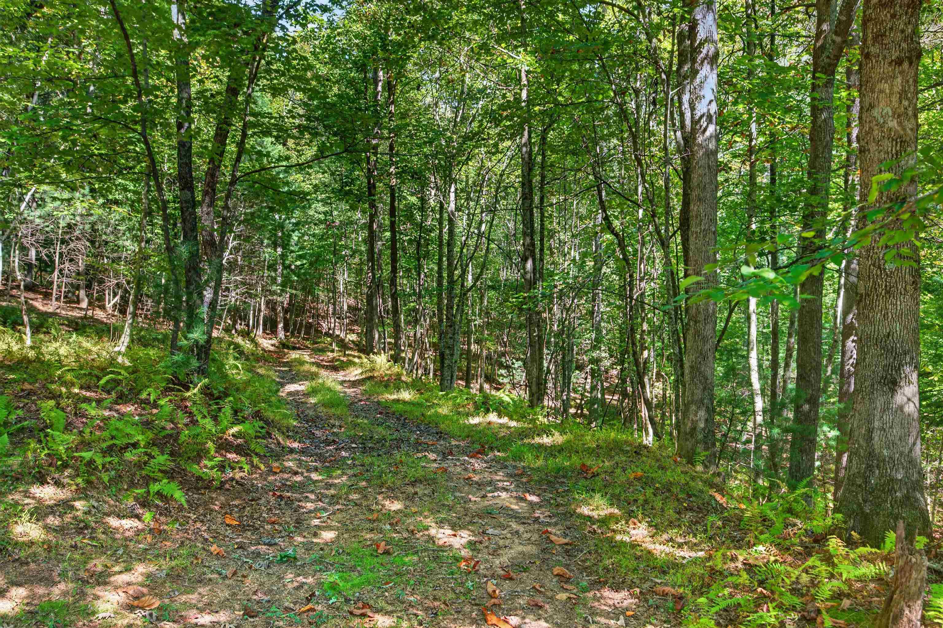 Tbd Forest Green Drive Galax VA 24333