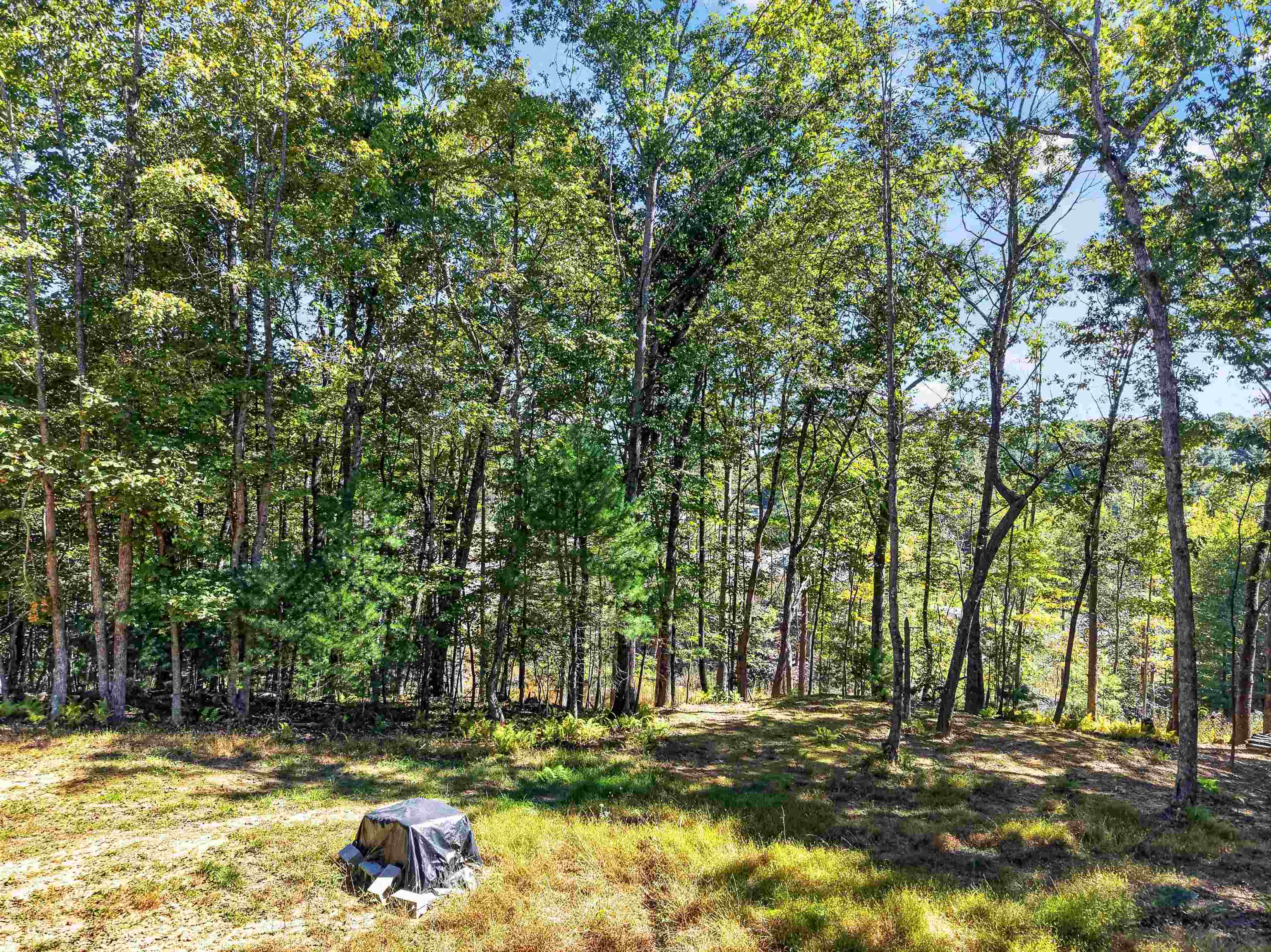 Tbd Forest Green Drive Galax VA 24333