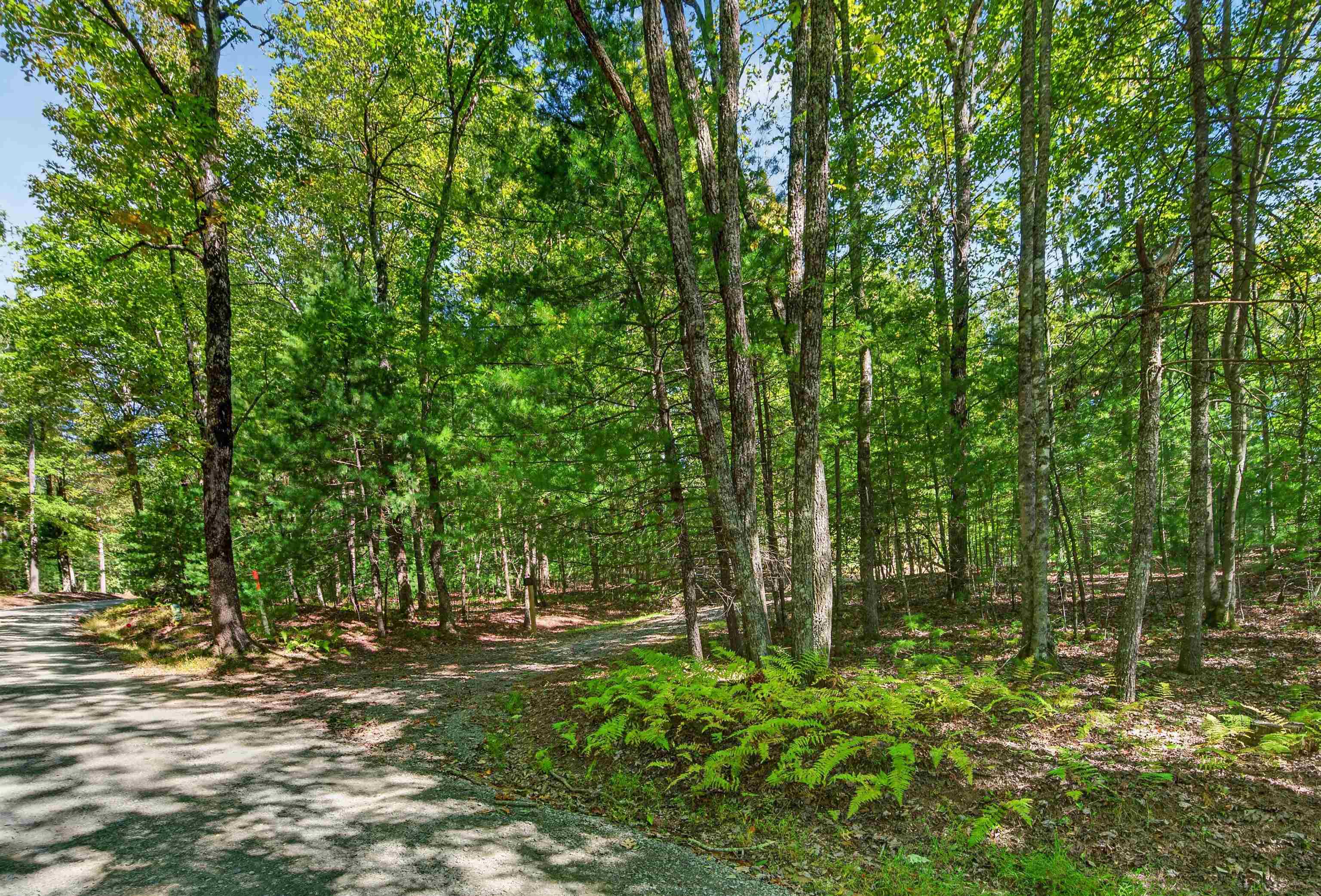 Tbd Forest Green Drive Galax VA 24333