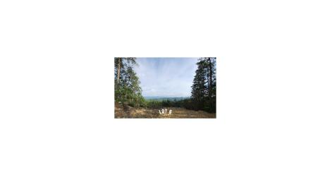 2985 Reese Mountain Road Elliston VA 24087