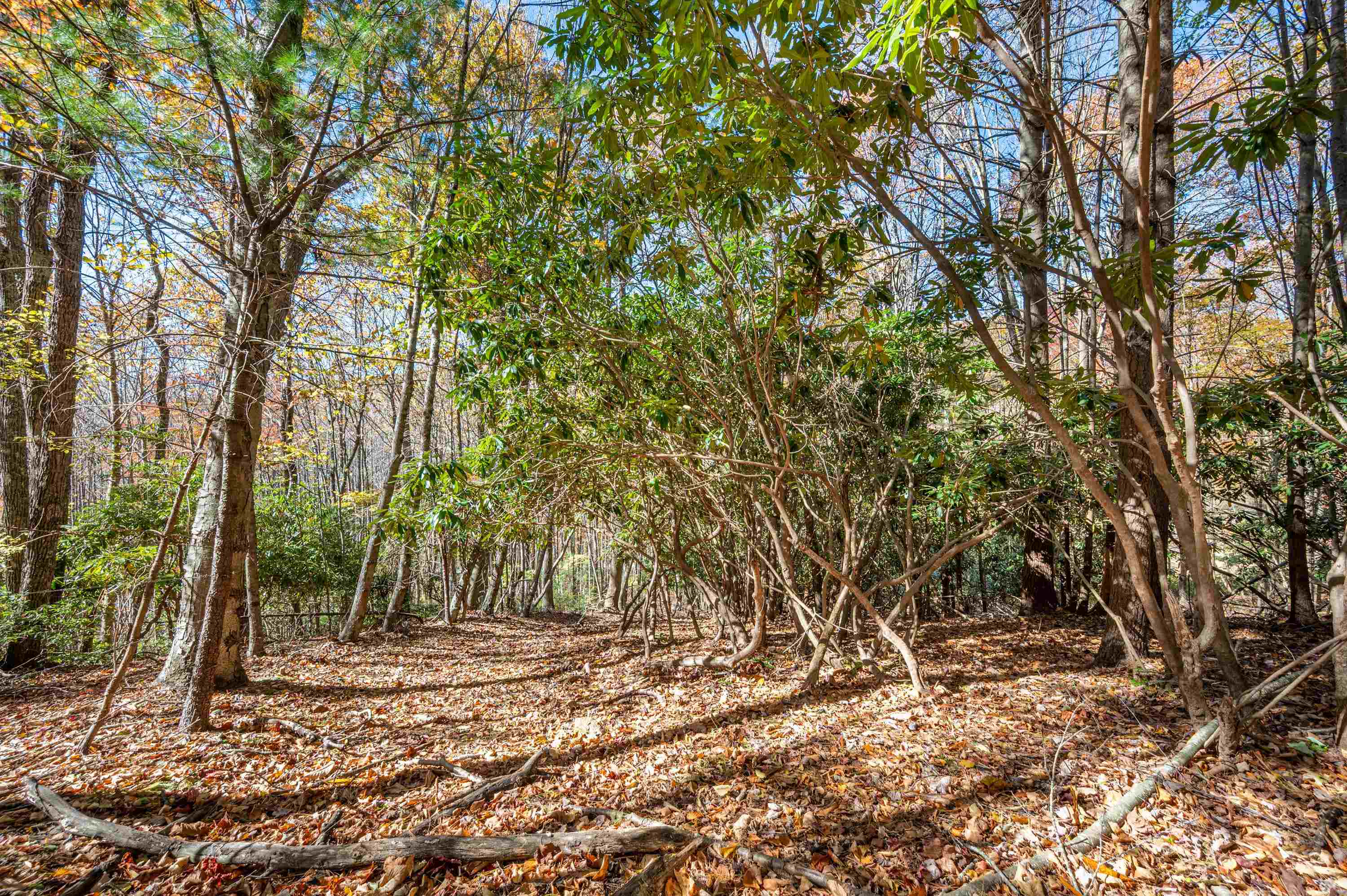 897 Phadettia Road Willis VA 24380