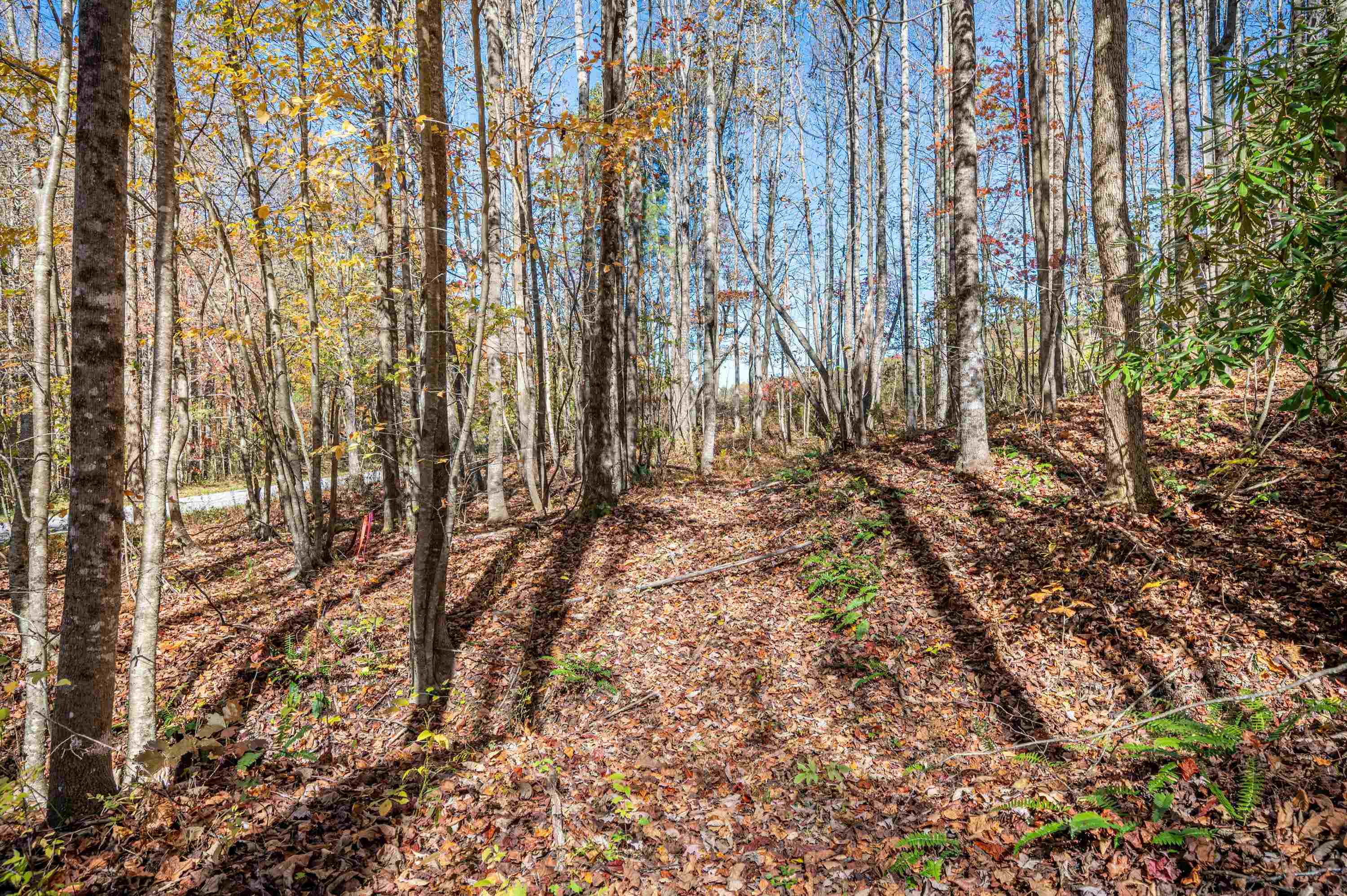 897 Phadettia Road Willis VA 24380