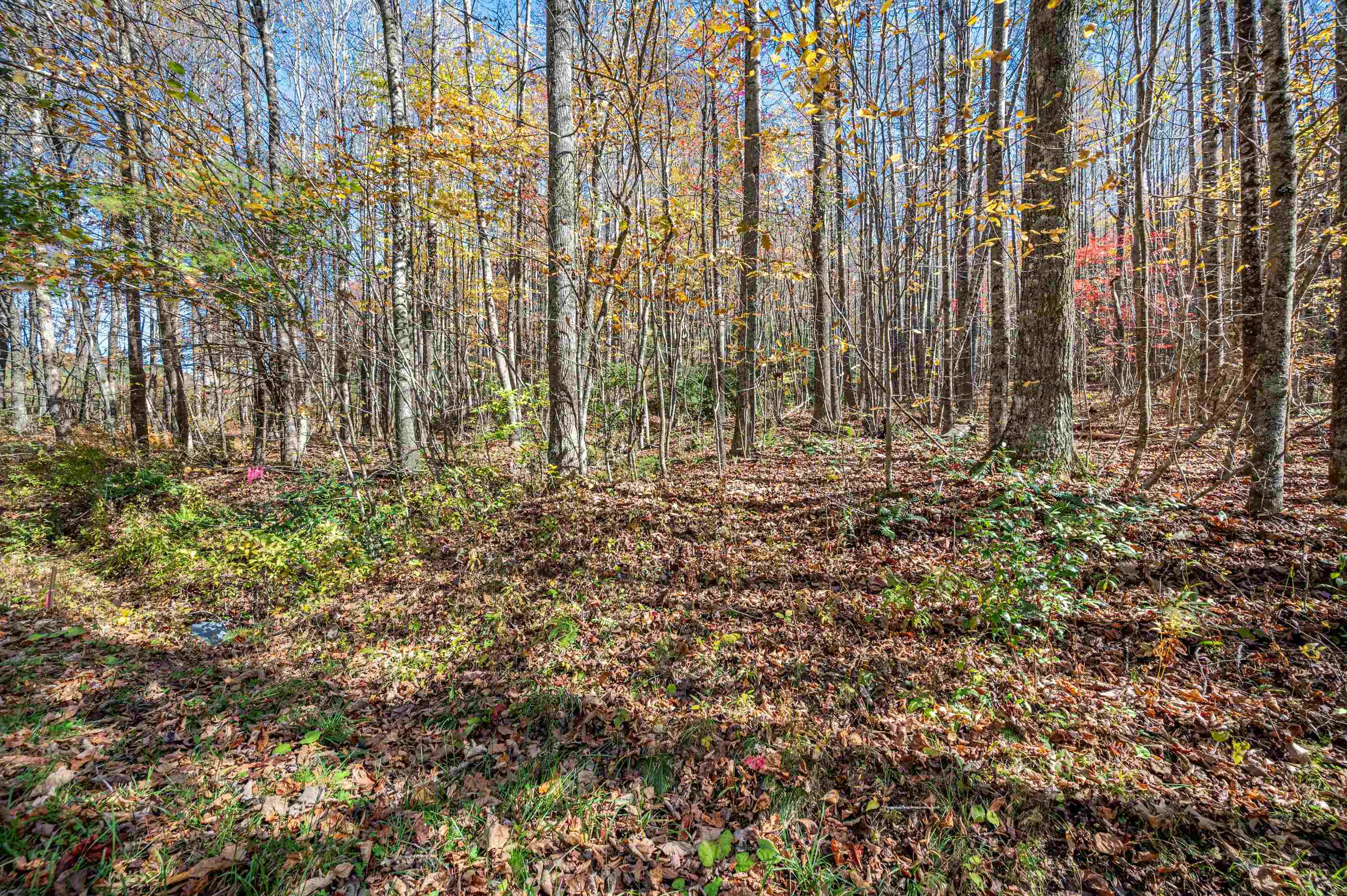 897 Phadettia Road Willis VA 24380