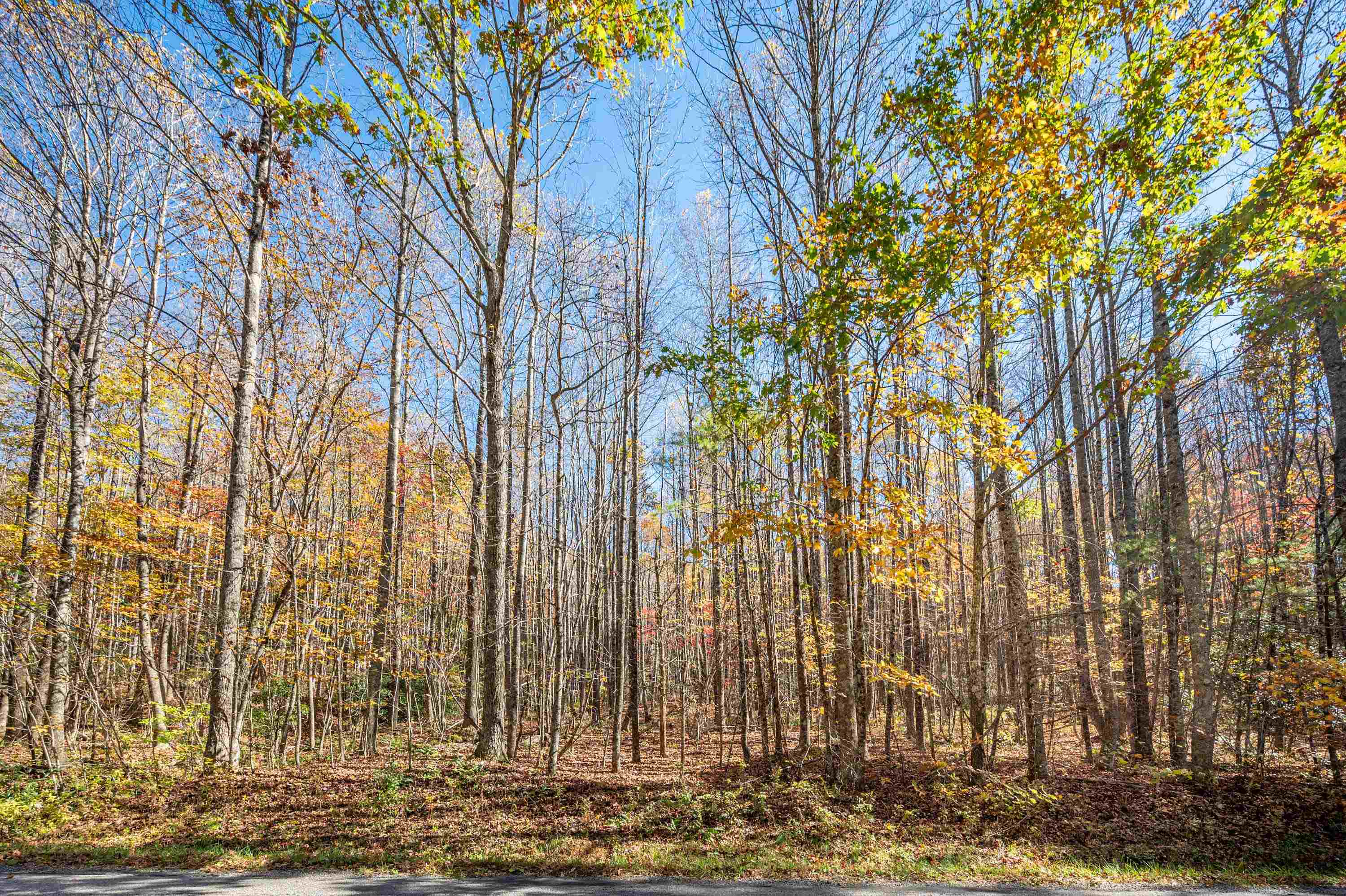 897 Phadettia Road Willis VA 24380