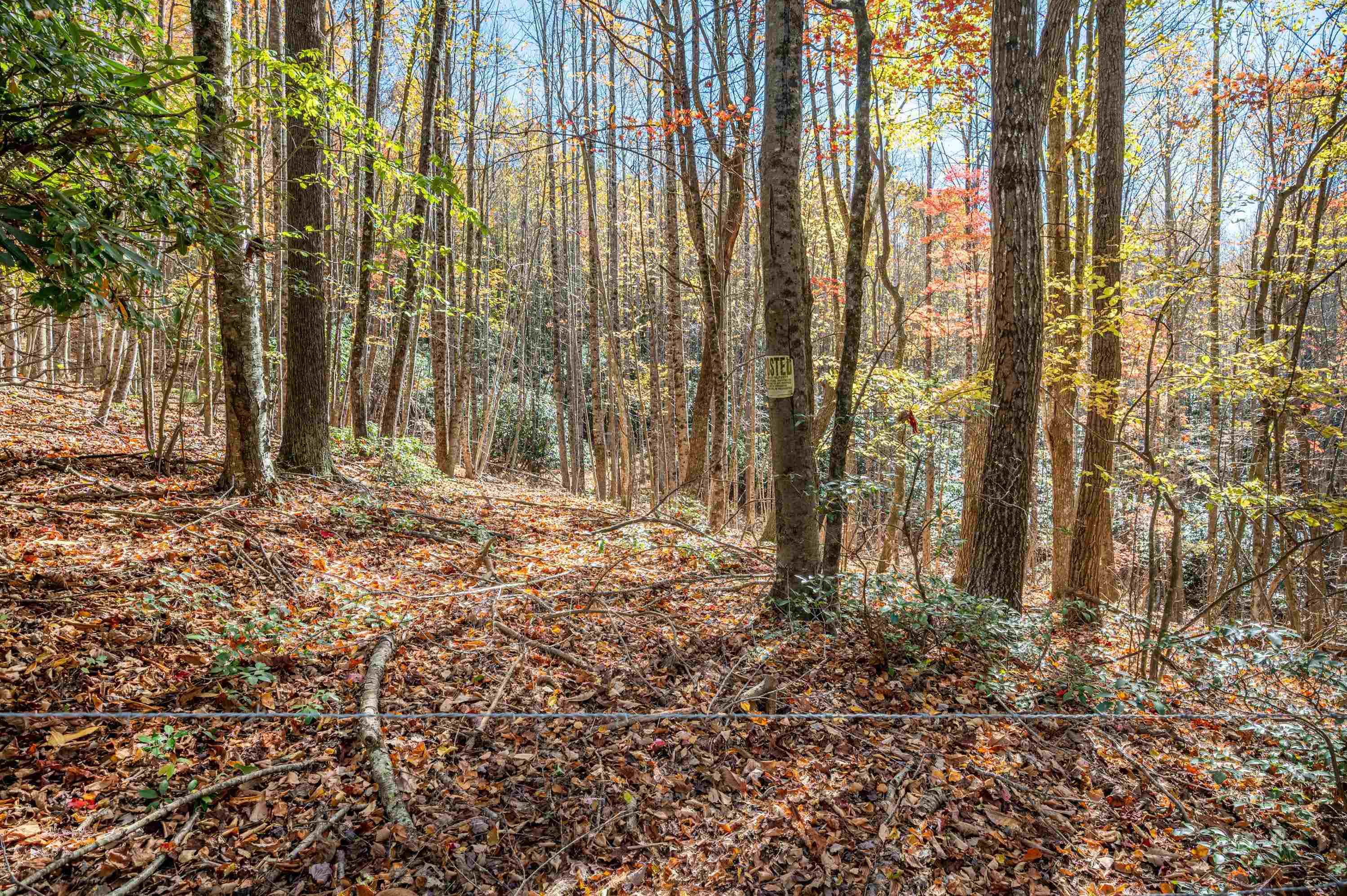 897 Phadettia Road Willis VA 24380