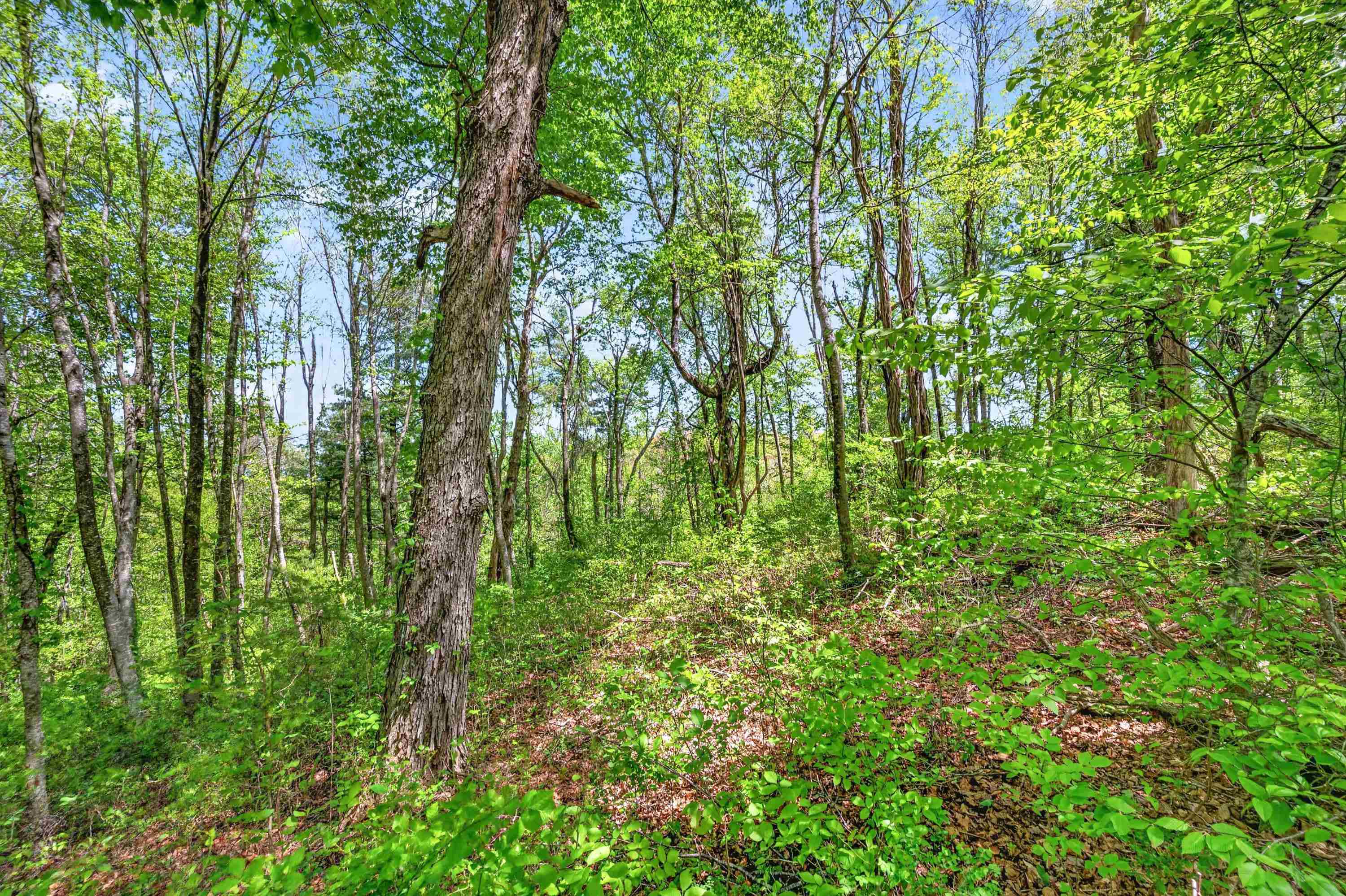 0 Countyline Church Road SE Floyd VA 24091