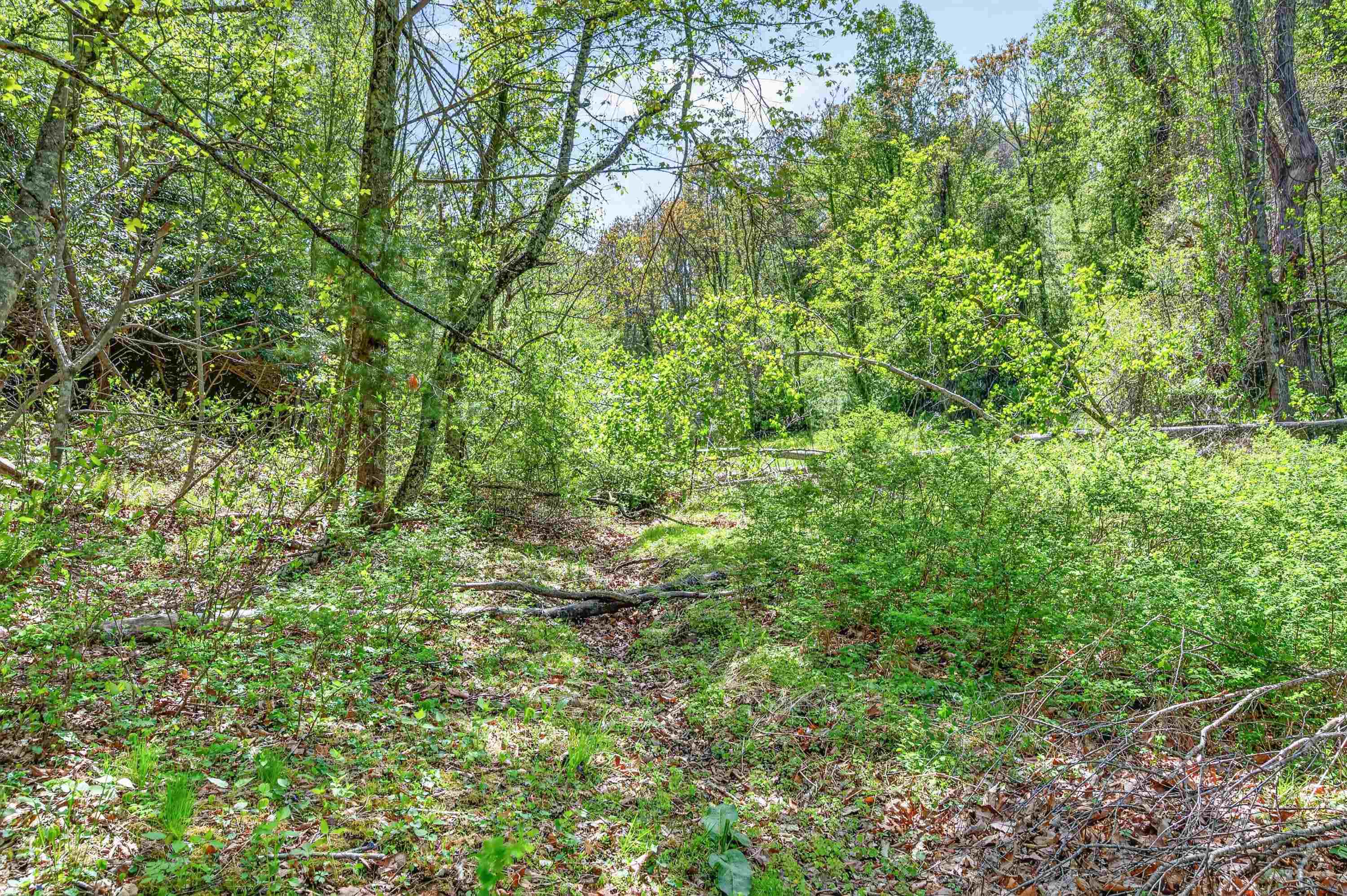 0 Countyline Church Road SE Floyd VA 24091