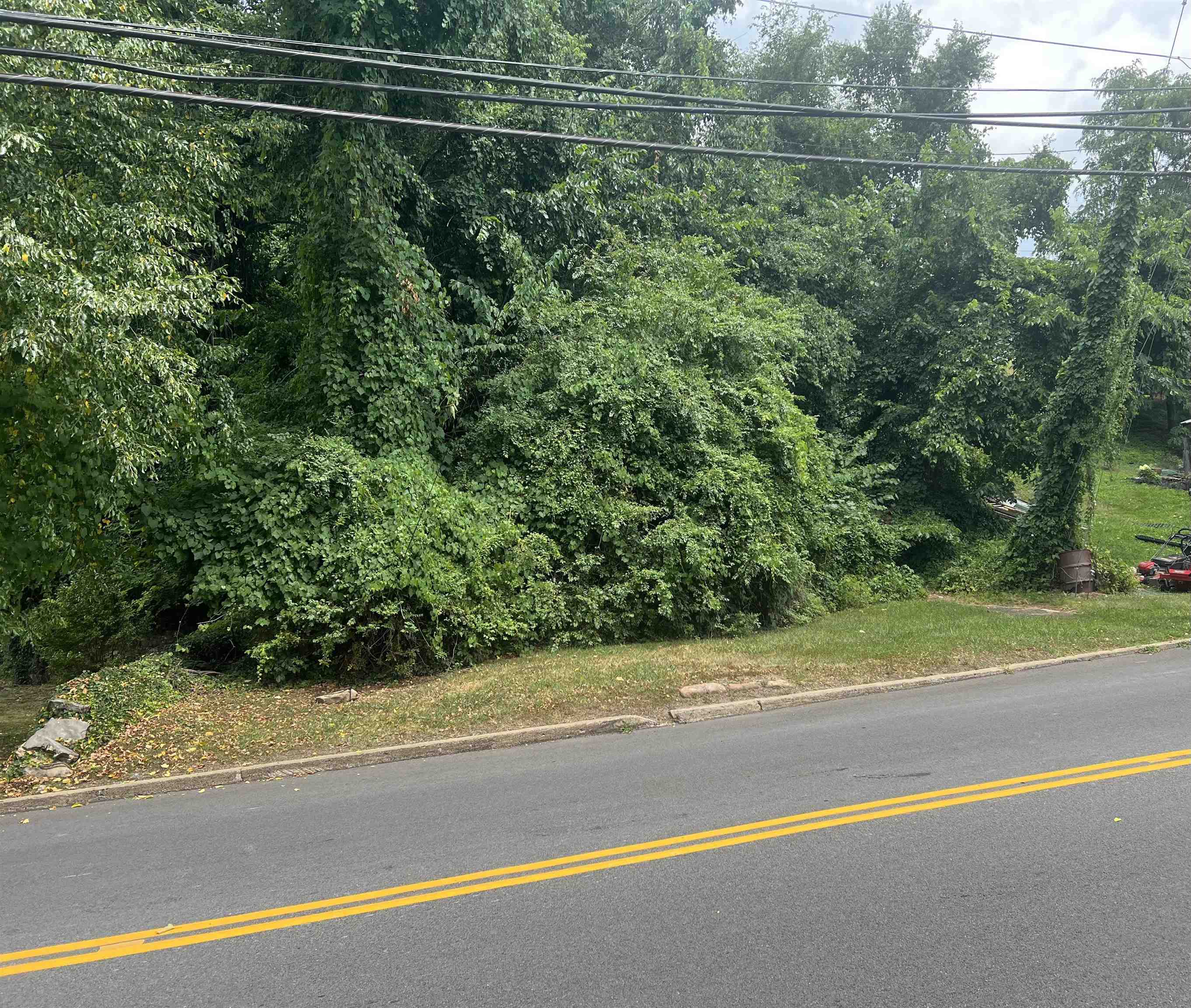 Tbd Main Street Narrows VA 24124