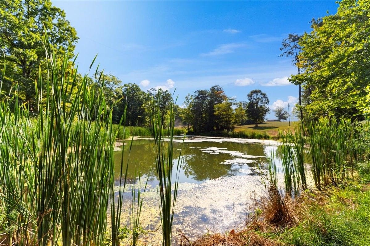 0 Shumate Falls Road Glen Lyn VA 24093