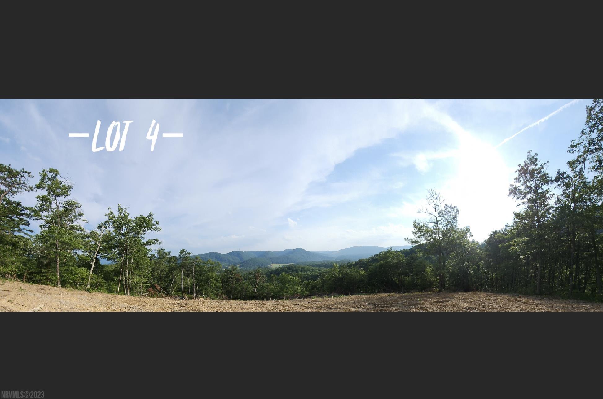 2881 Reese Mountain Road Elliston VA 24087