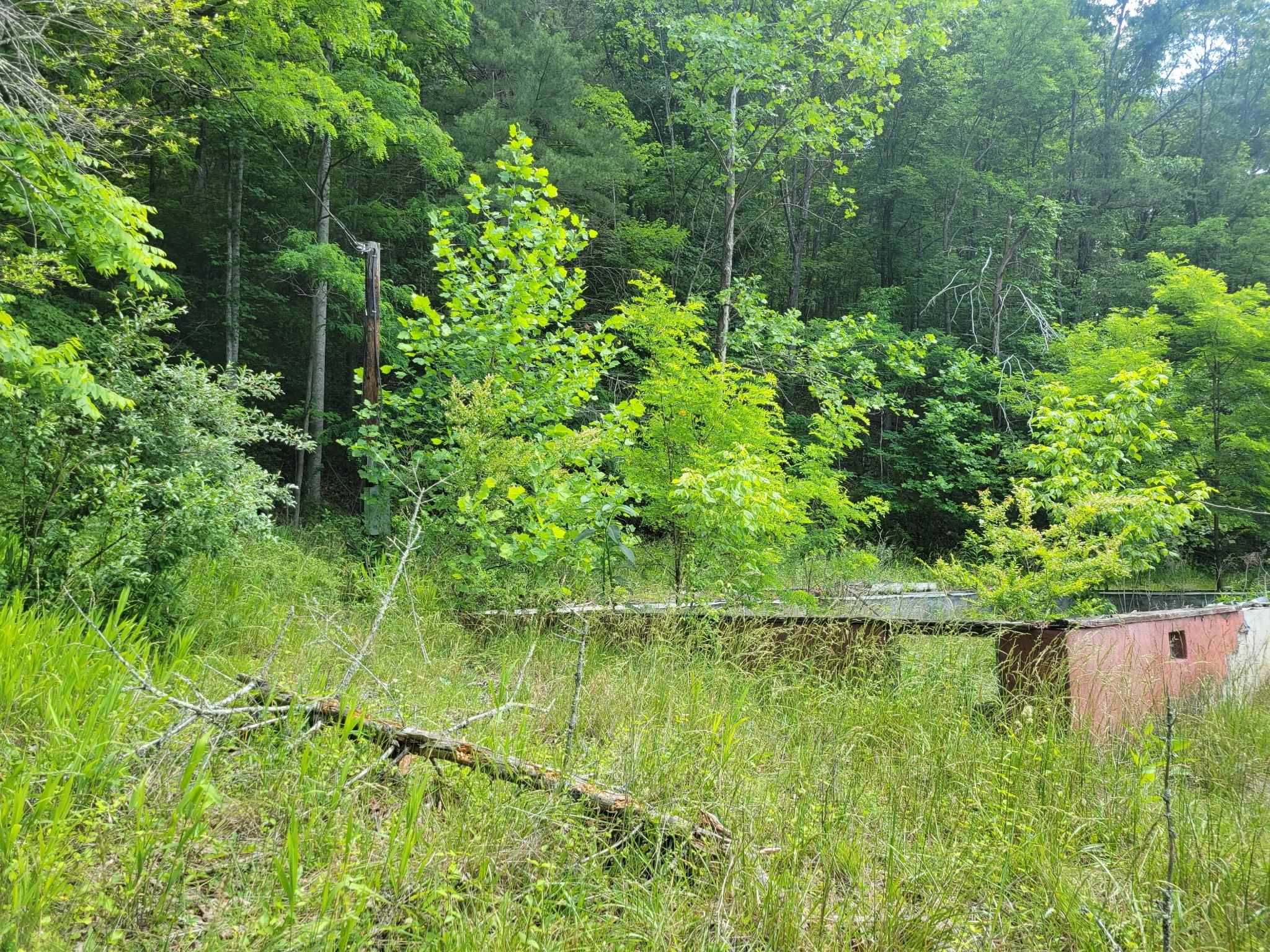 4231 Little Creek Road Dublin VA 24084