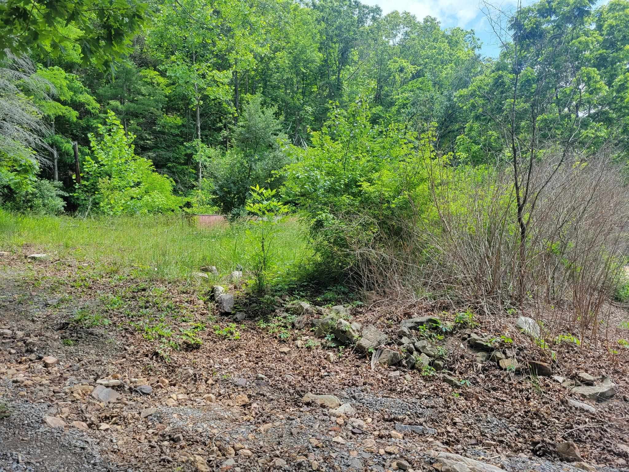 4231 Little Creek Road Dublin VA 24084