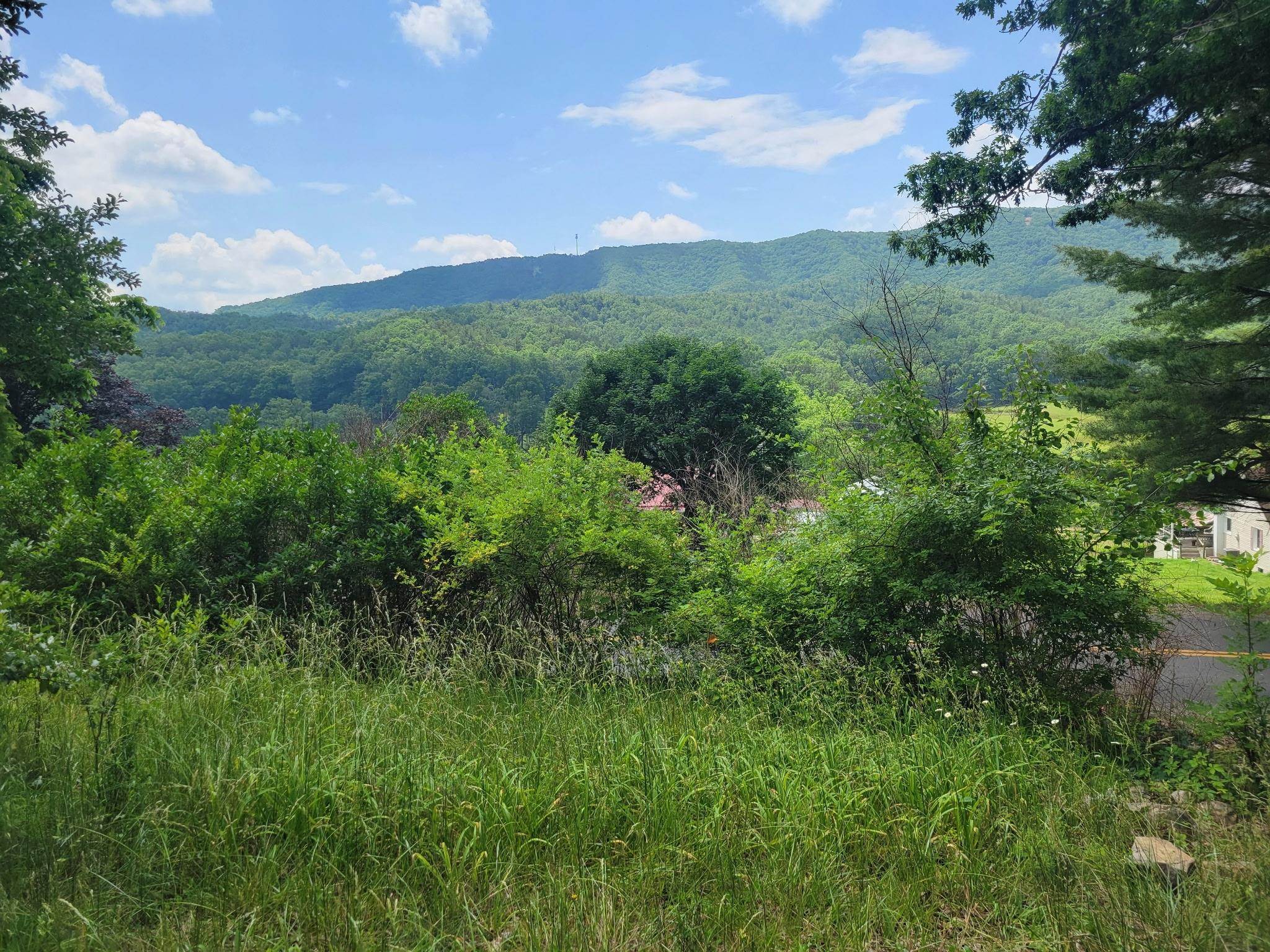 4231 Little Creek Road Dublin VA 24084