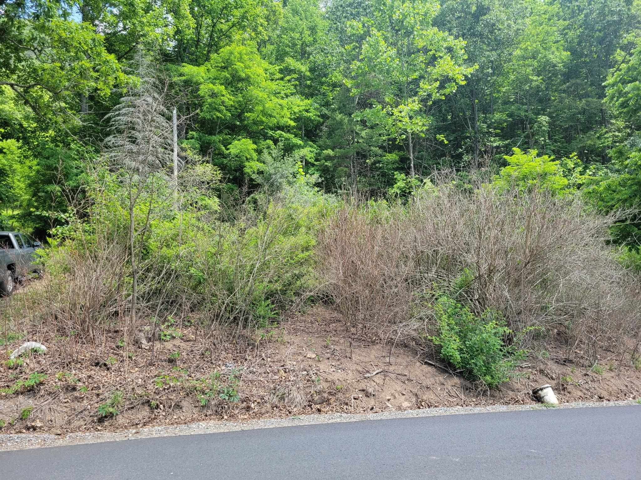 4231 Little Creek Road Dublin VA 24084