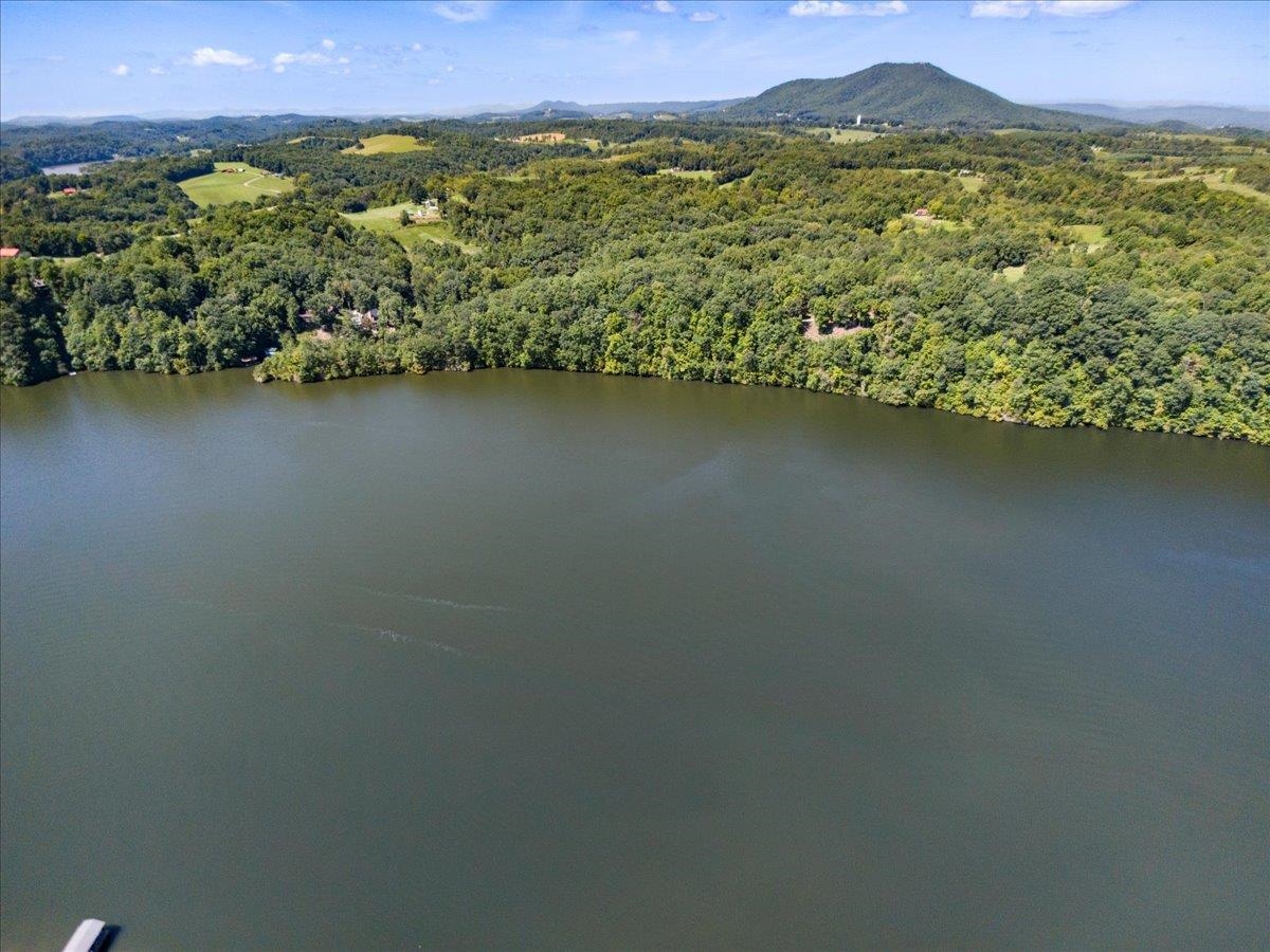 Tbd Allison Drive Hiwassee VA 24347
