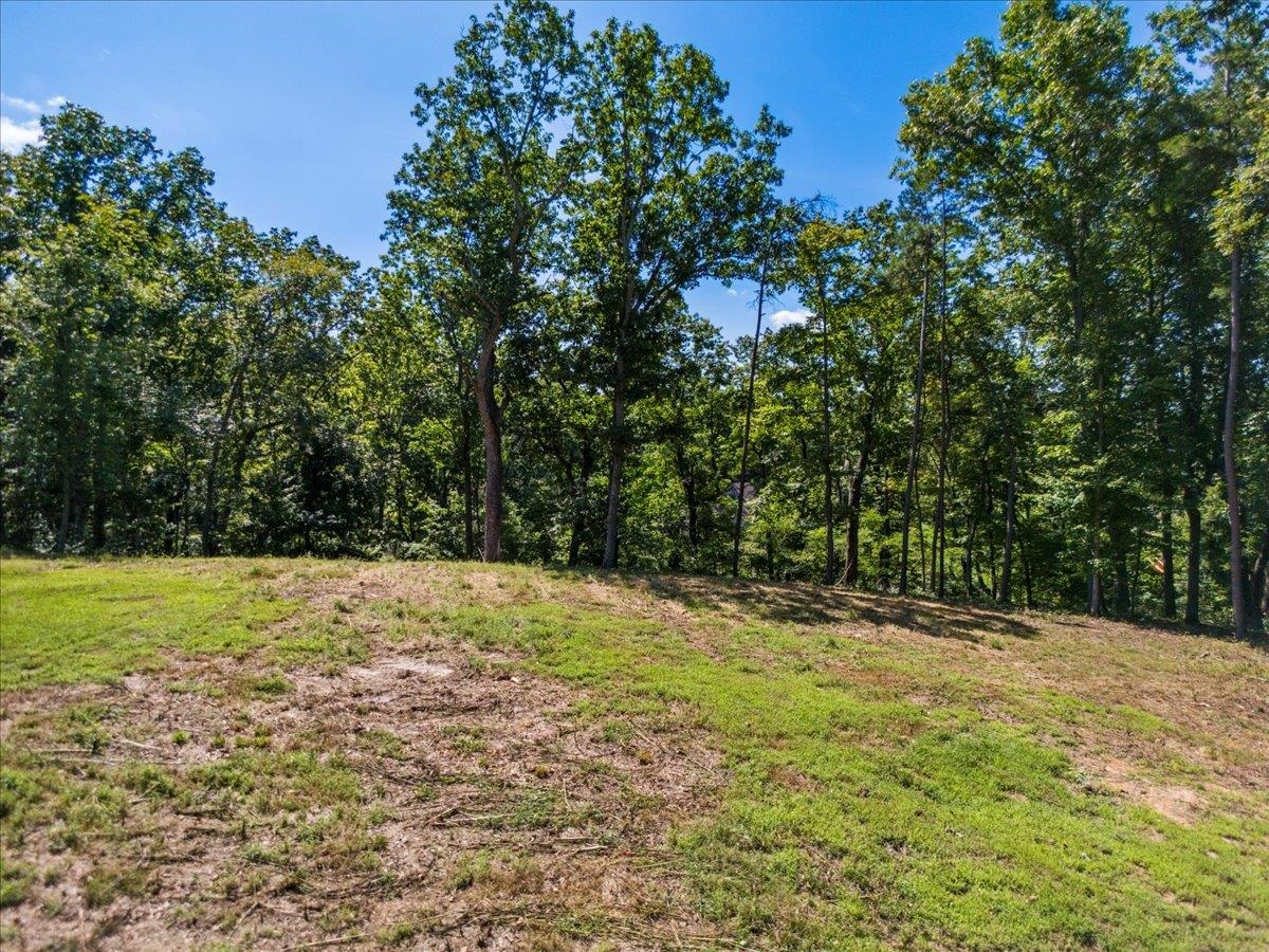 Tbd Allison Drive Hiwassee VA 24347