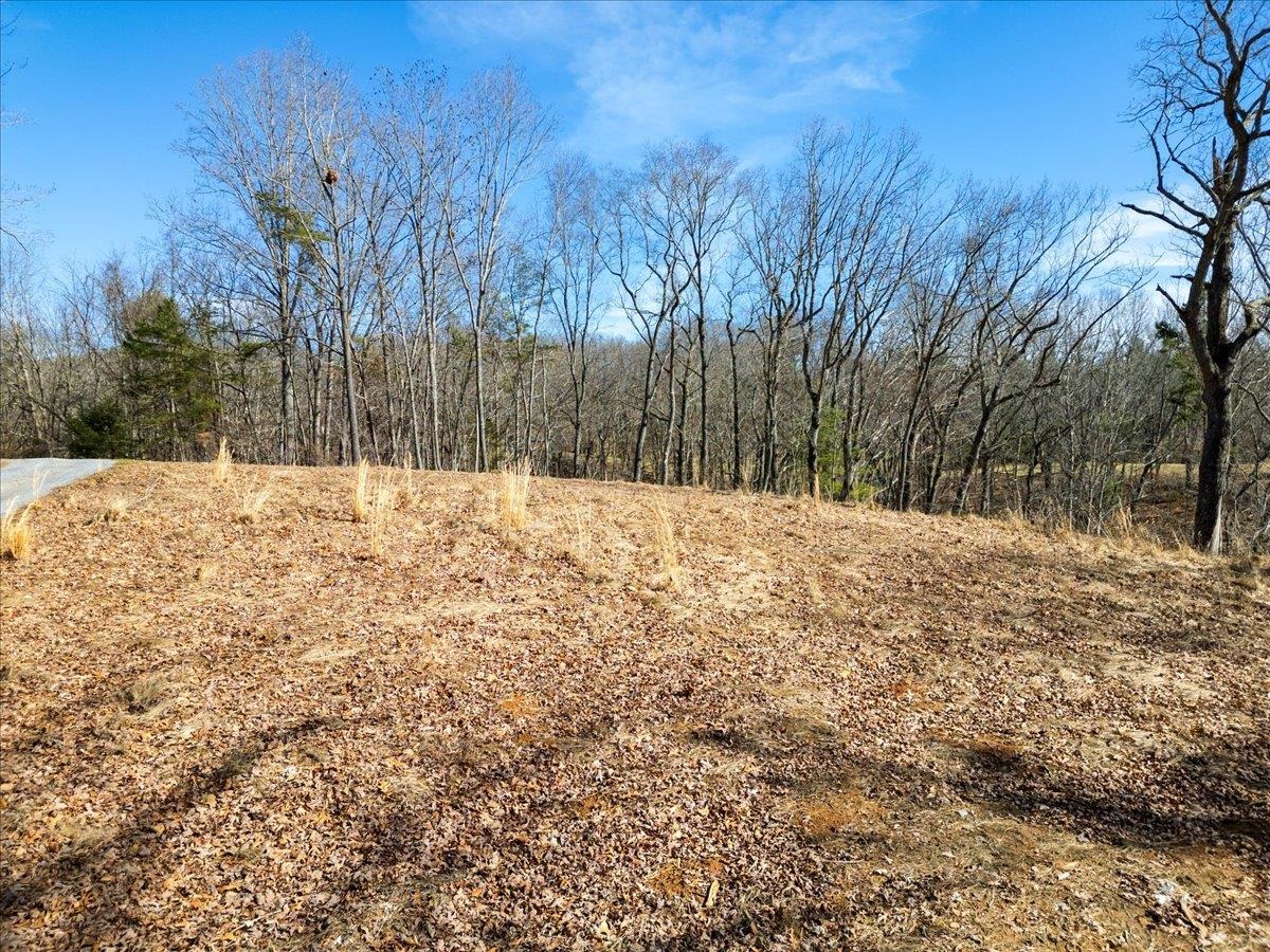 Tbd Allison Drive Hiwassee VA 24347