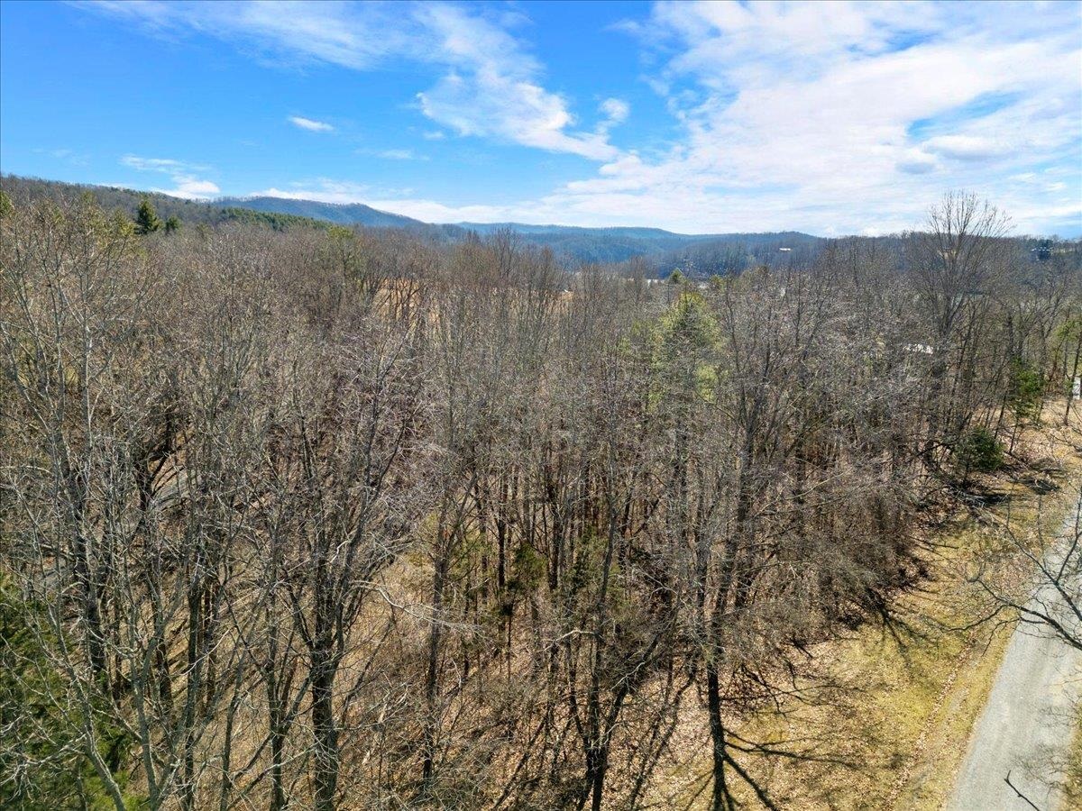 Tbd Allison Drive Hiwassee VA 24347