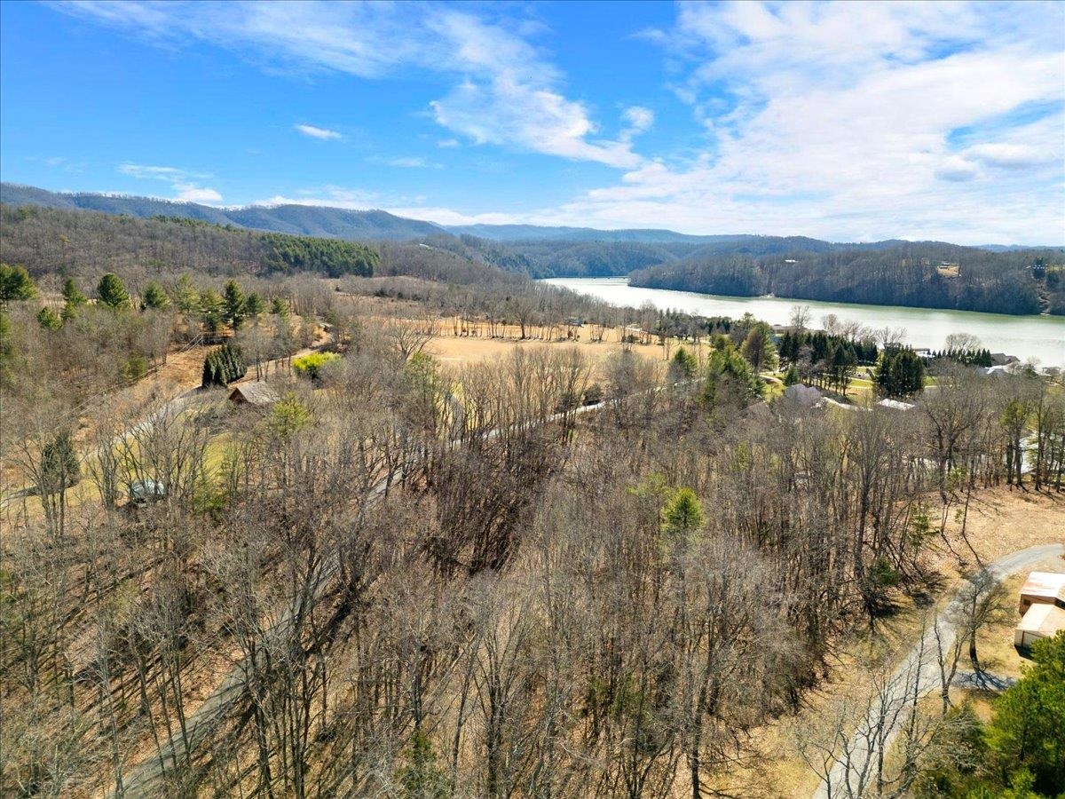 Tbd Allison Drive Hiwassee VA 24347