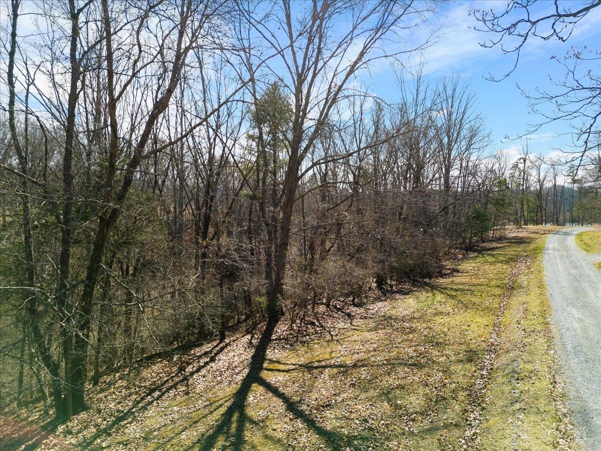 Tbd Allison Drive Hiwassee VA 24347